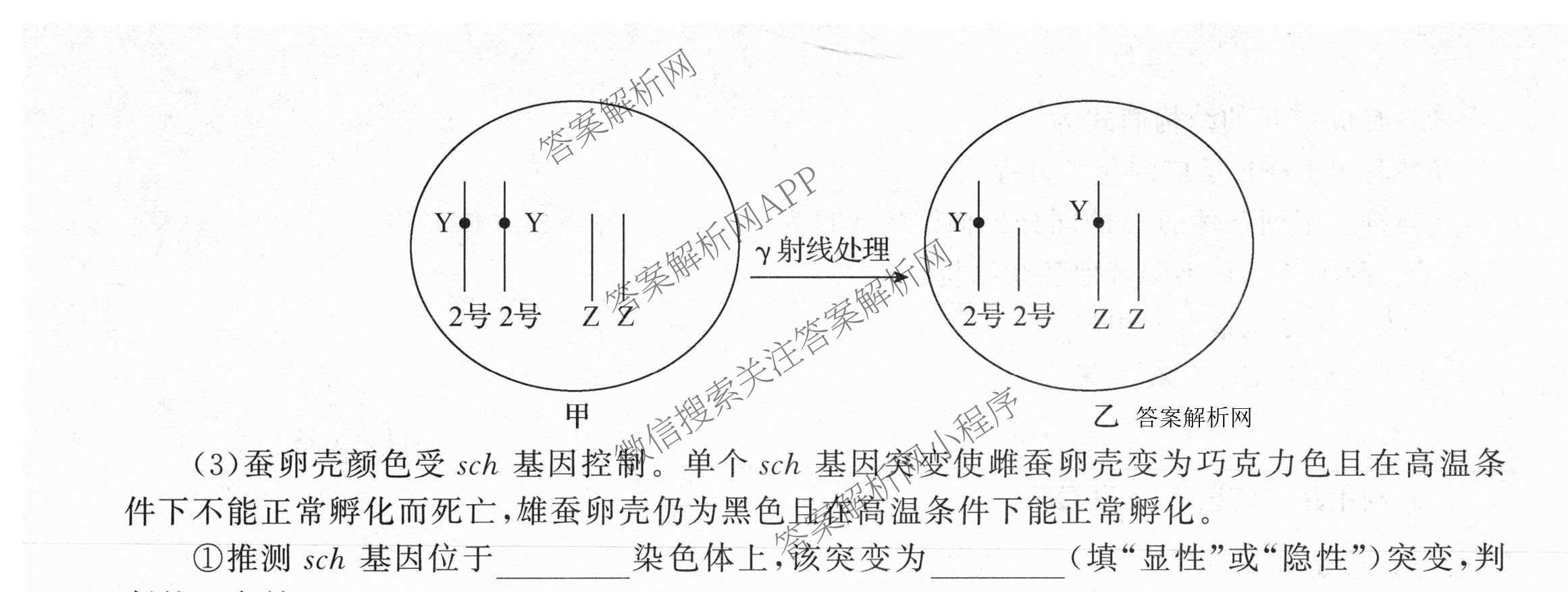 天舟高考衡中同卷2026年普通高等学校招生全国统一考试模拟信息卷(六)6各科答案及试卷: 含地理(GY)、语文(通用版)、政治(河南版)试卷解析理综试题