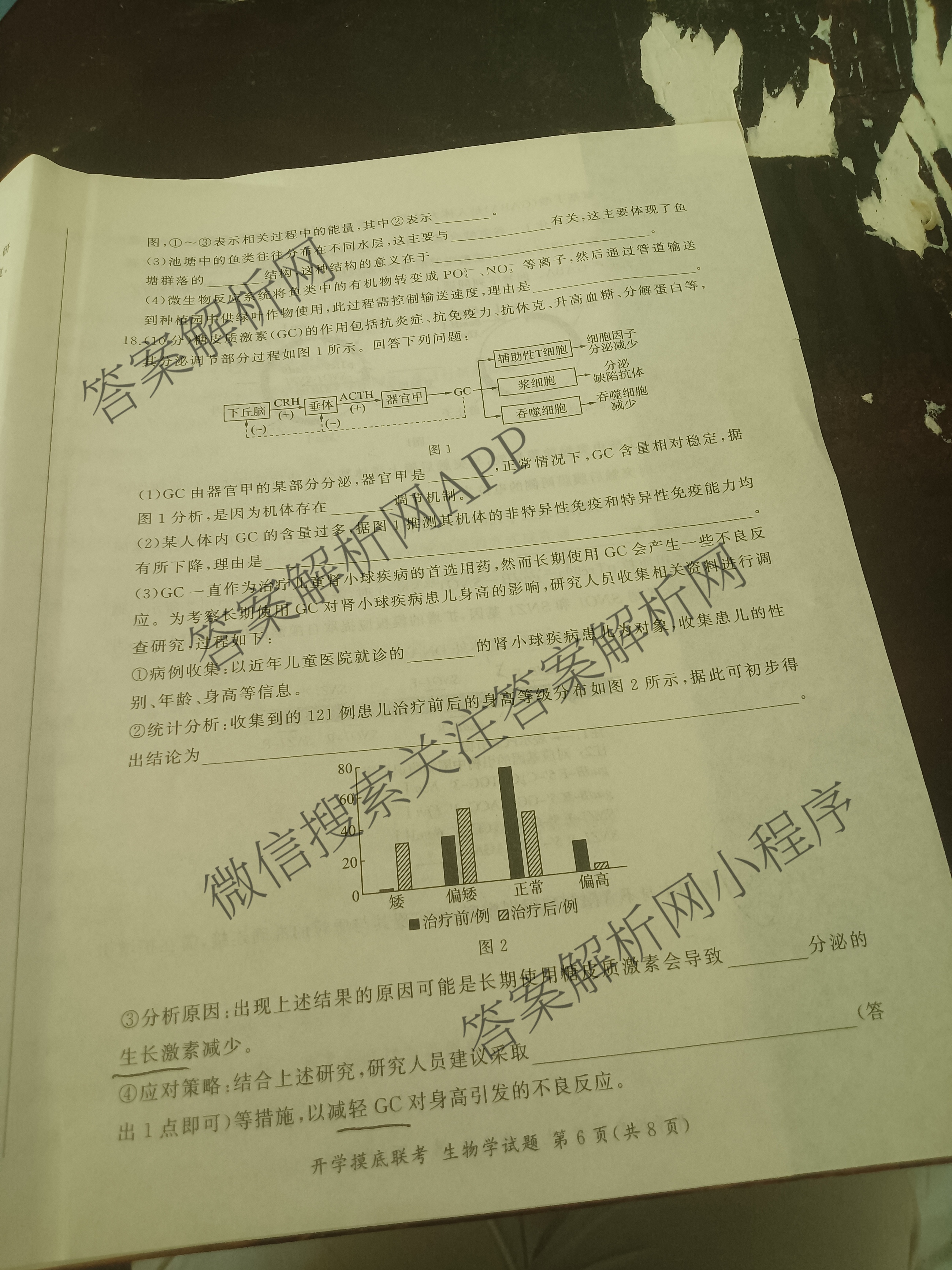 百师联盟2026届高三开学摸底联考(已更新物理(百C) 物理(百E) 地理(S)等56份)生物试题