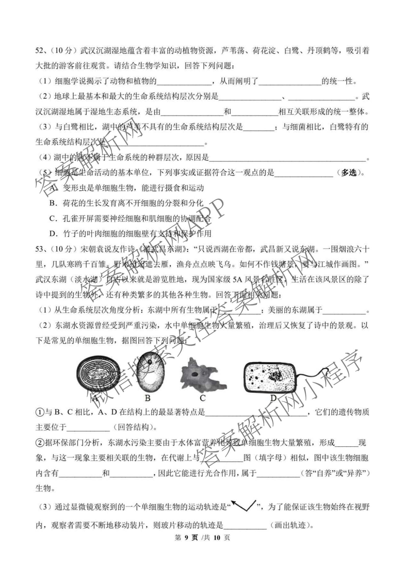 河南南阳一中2029届高一九月月考试卷及答案汇总（含地理 数学 物理等）生物试题