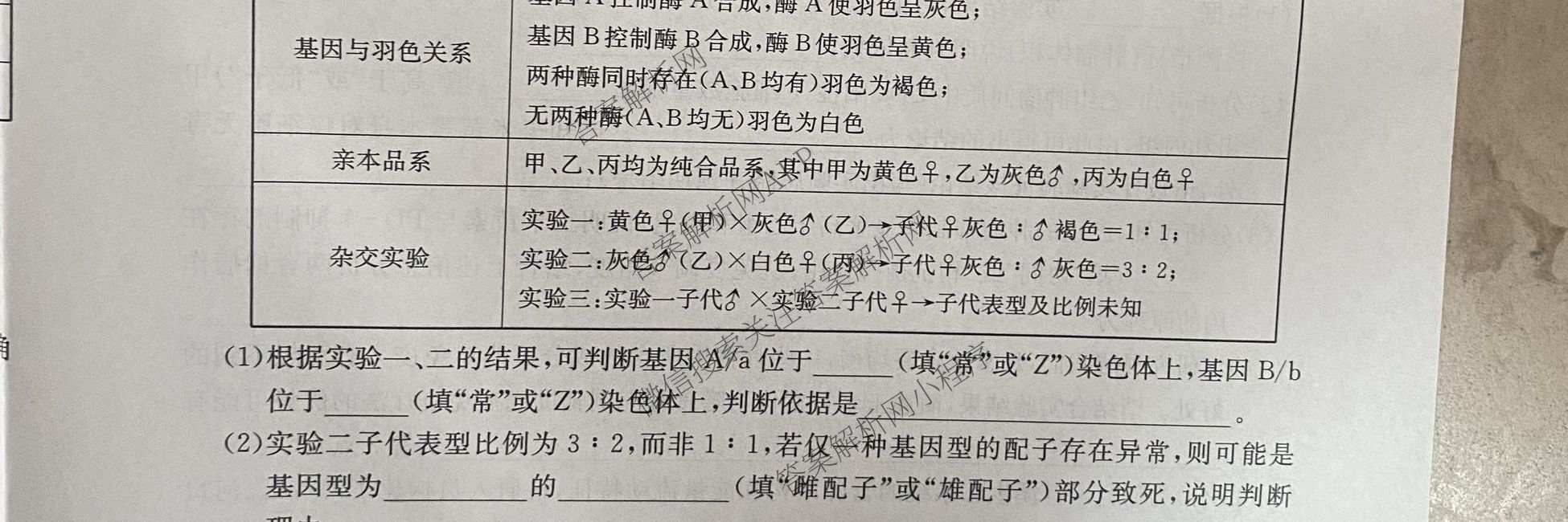 2026年普通高等学校招生全国统一考试猜题信息卷(一)1(已更新数学、地理(B3)、生物(B2)等18份)生物试题