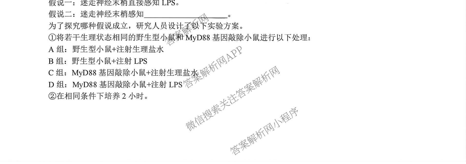 成都七中高2026届高三下学期入学考试(已更新化学、历史、语文等9份)生物试题