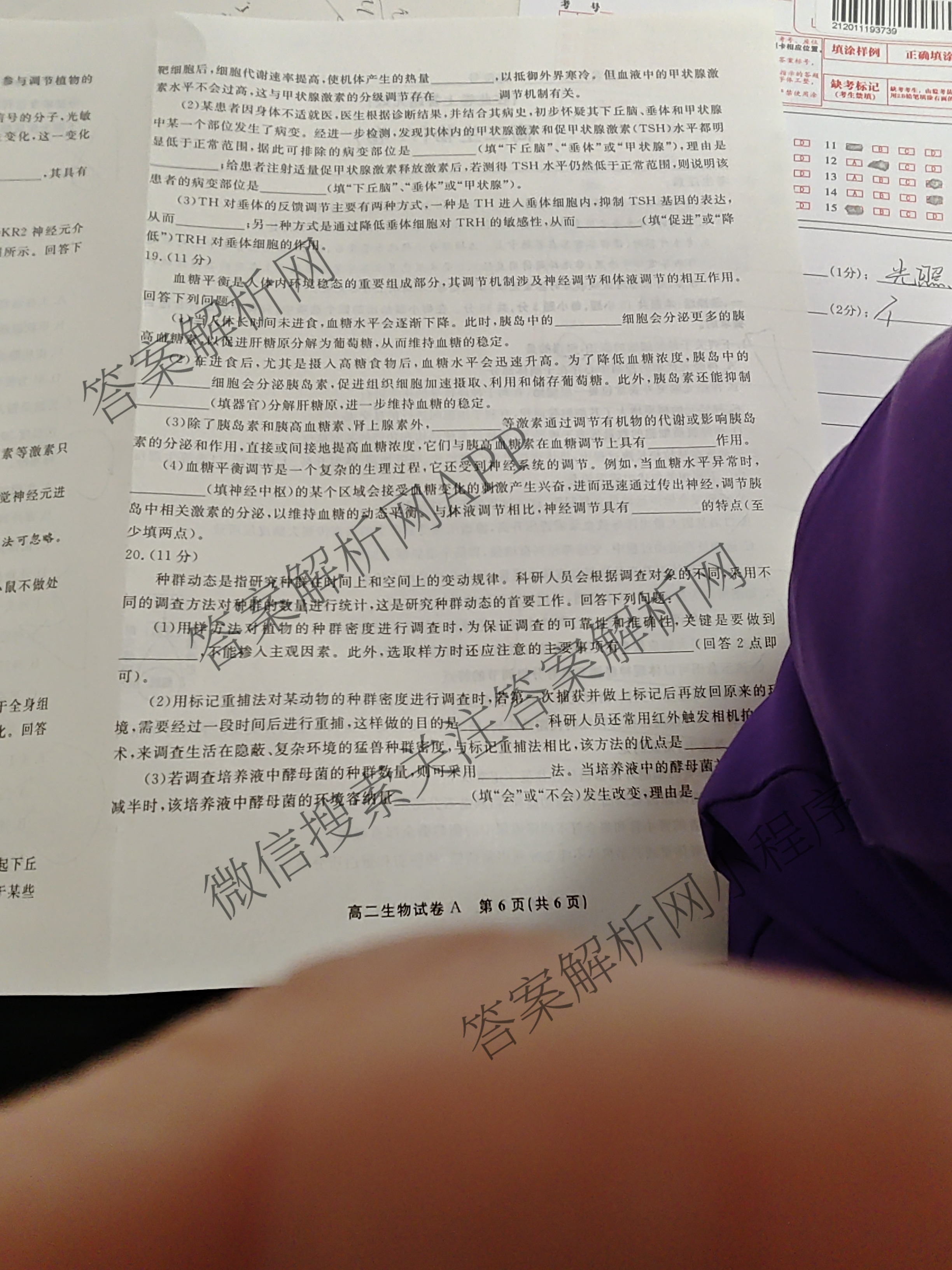 安徽金榜教育2024-2025高二上学期12月联考(12.19)试卷及答案汇总(已更新生物(A卷) 化学(A卷) 物理(A)等11份)生物试题