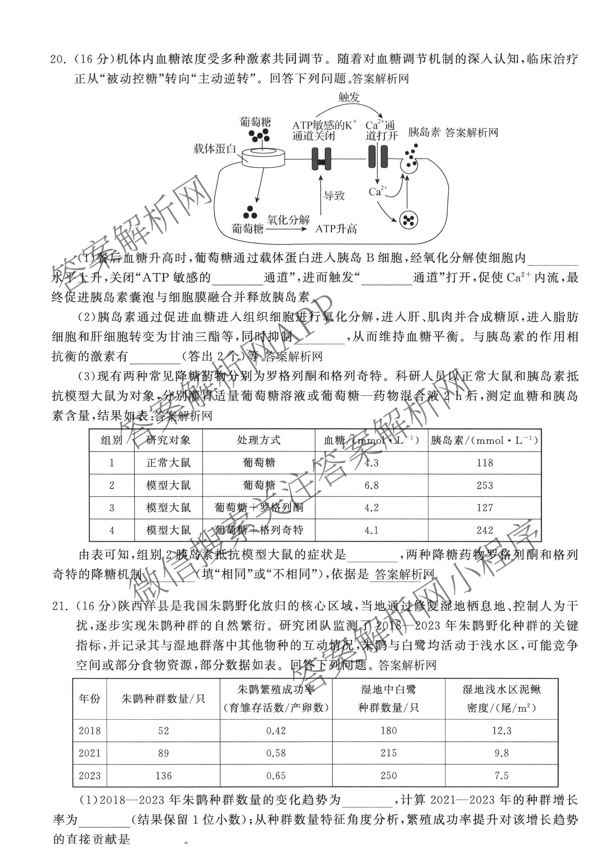 天舟高考衡中同卷2026年普通高等学校招生全国统一考试模拟信息卷(六)6各科答案及试卷: 含地理(GY)、语文(通用版)、政治(河南版)试卷解析生物试题