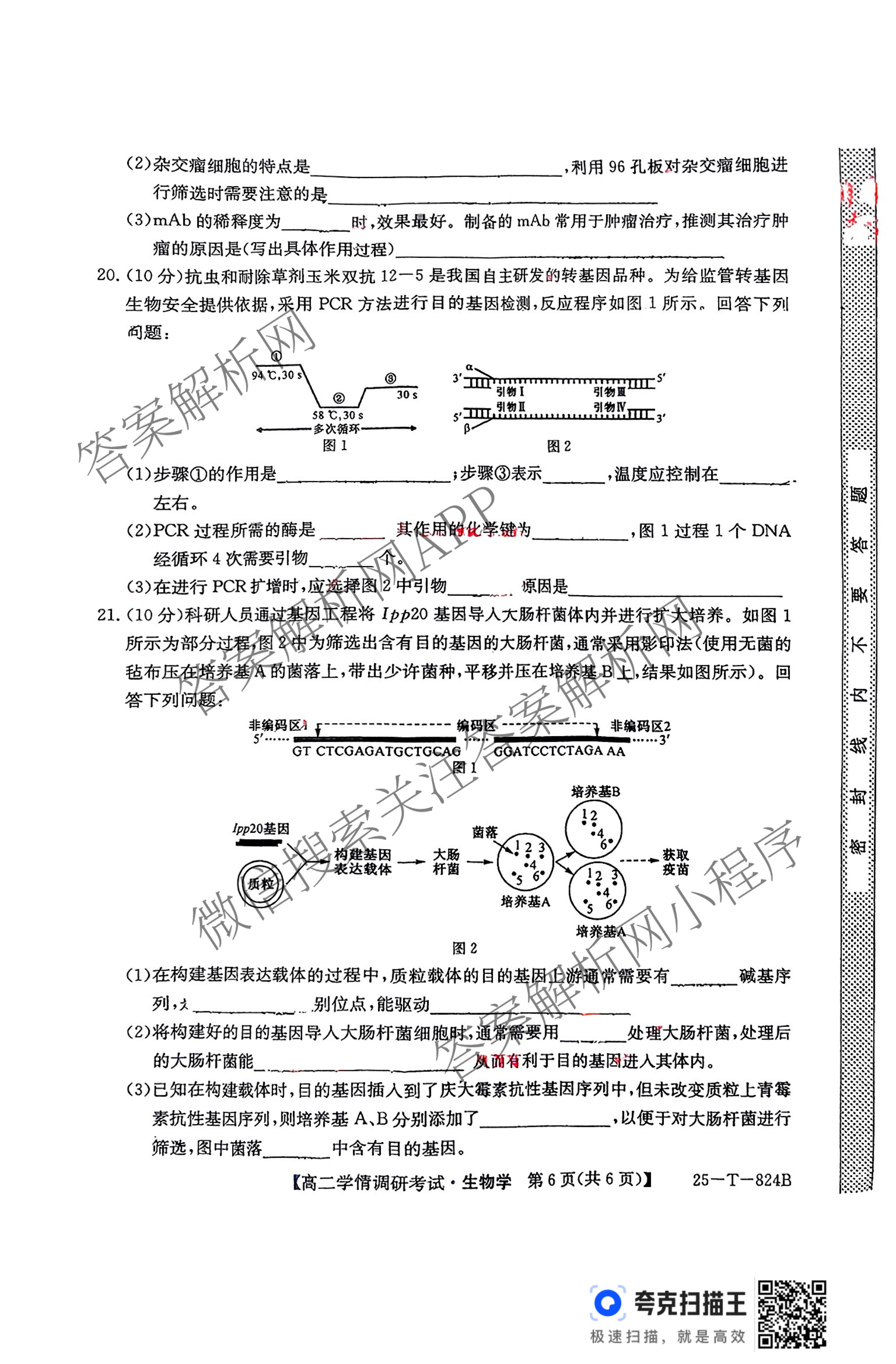 陕西省2024~2025学年第二学期高二学情调研考试(25-T-824B)（含化学 地理 物理等9份）生物试题