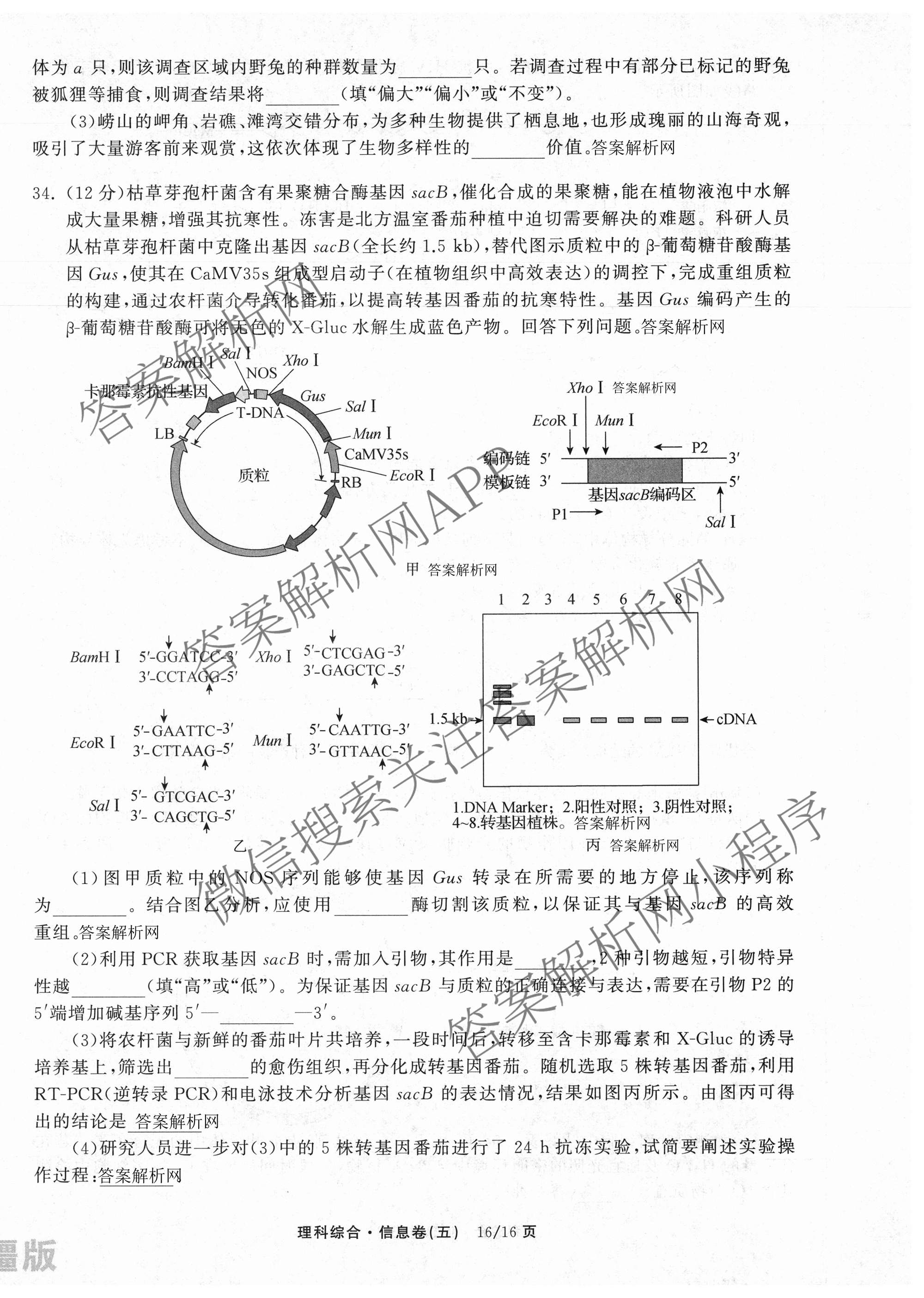 天舟高考衡中同卷2026年普通高等学校招生全国统一考试模拟信息卷(五)5试卷及答案汇总（含化学(WG)、化学(WY)、物理(山东版)等）理综试题