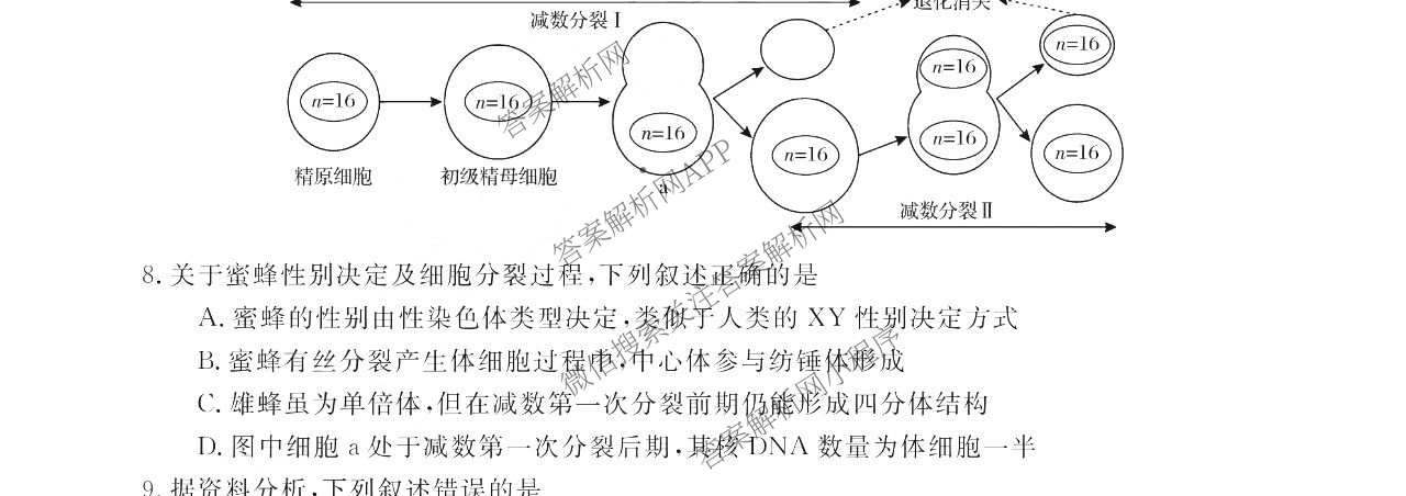 浙江强基联盟2025年12月高二联考试卷及答案汇总（含历史、物理、生物等11份）生物试题