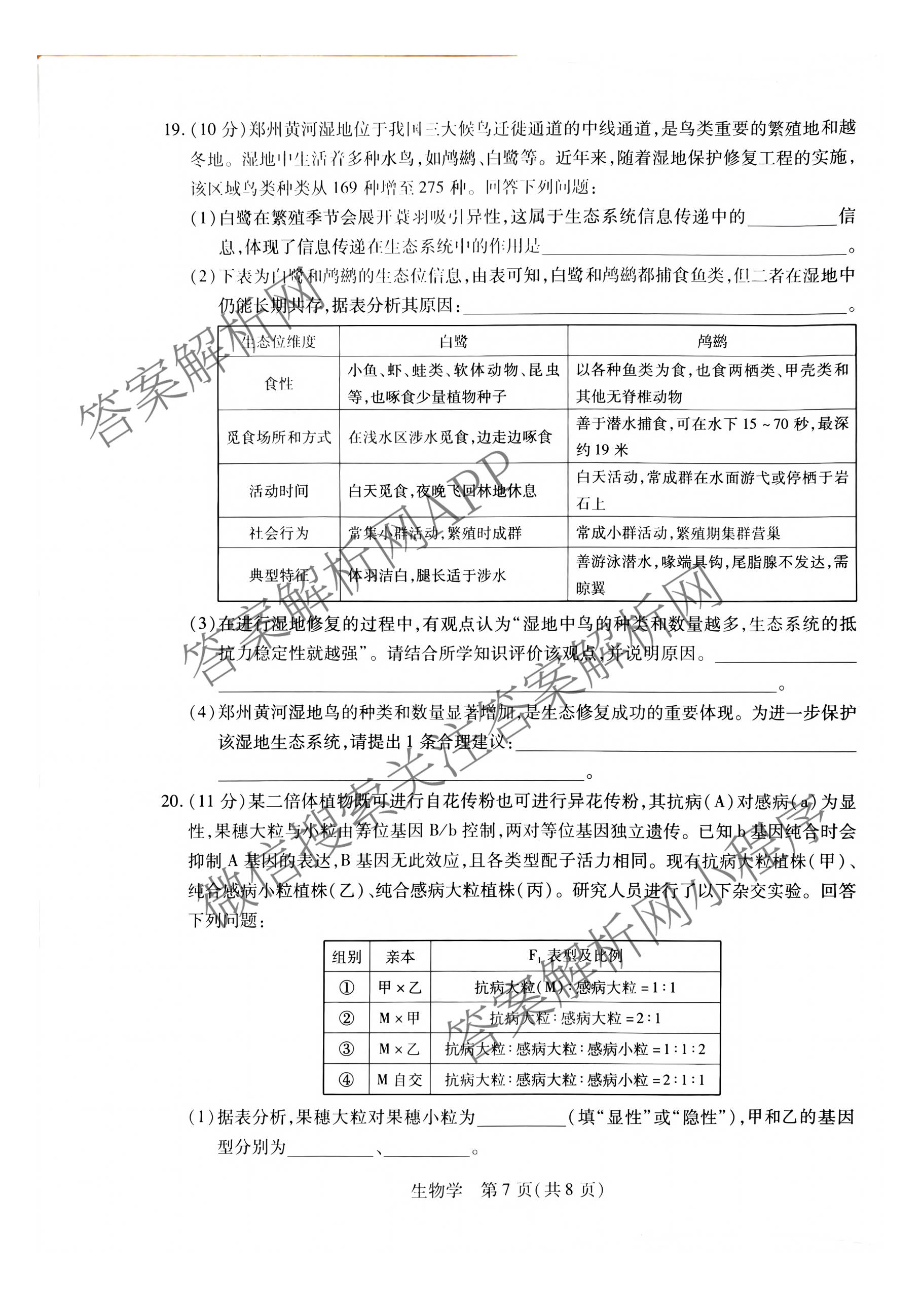 天一大联考河南省2027届高三联考(HN202609)试卷及答案汇总（10科全）生物试题