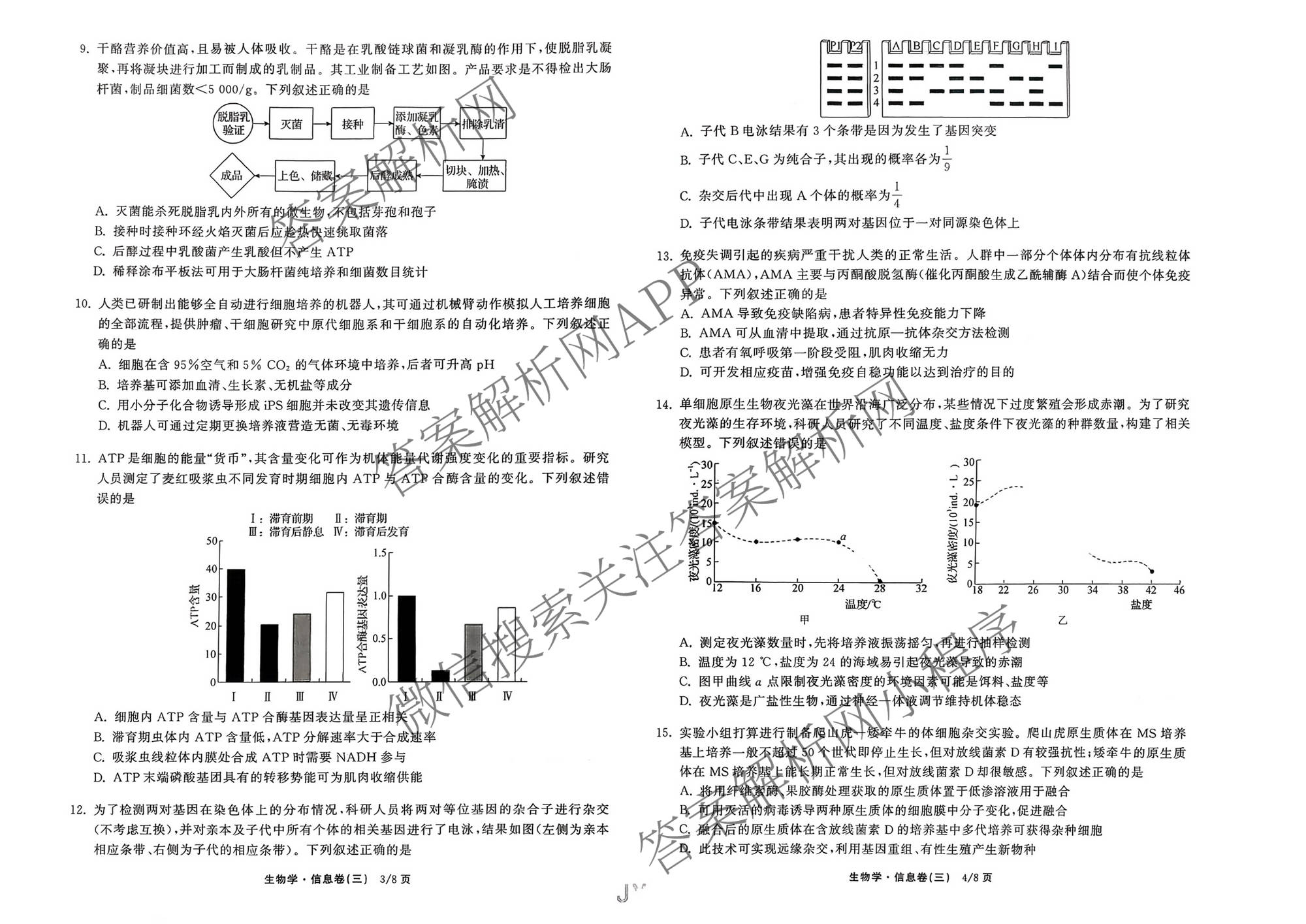 天舟高考衡中同卷2026年普通高等学校招生全国统一考试模拟信息卷(三)3(已更新地理 政治(河南版) 物理(JY)等24份)生物试题