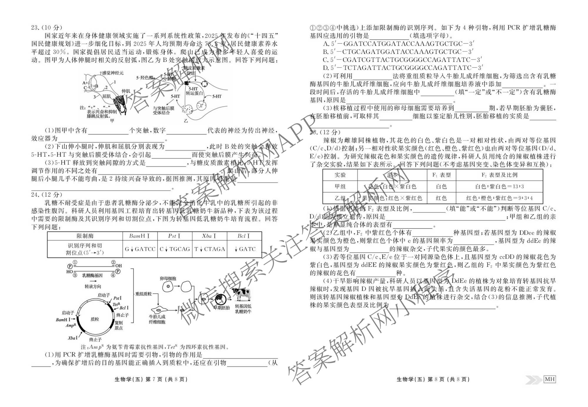 衡水金卷先享题2026年学科素养评价练(五)5(已更新地理(HJ)【河北专版】、地理(HN)【湖南专版】、生物(CY)【四川重庆专版】等90份)生物试题