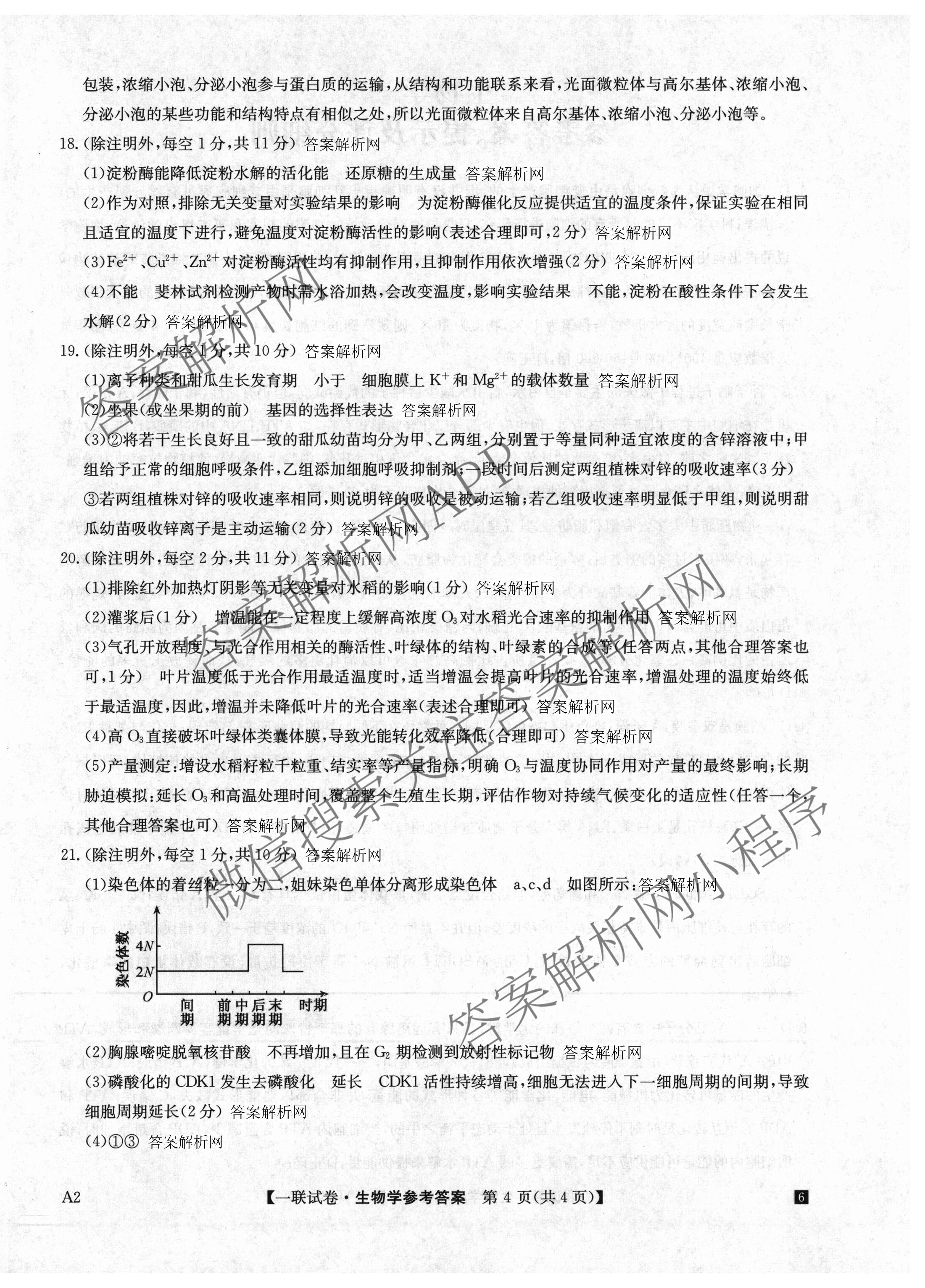 全国名校大联考2025~2026学年高三第一次联考(月考)试卷及答案汇总（含历史(河南)、化学(A2)、物理(A1)等）生物答案