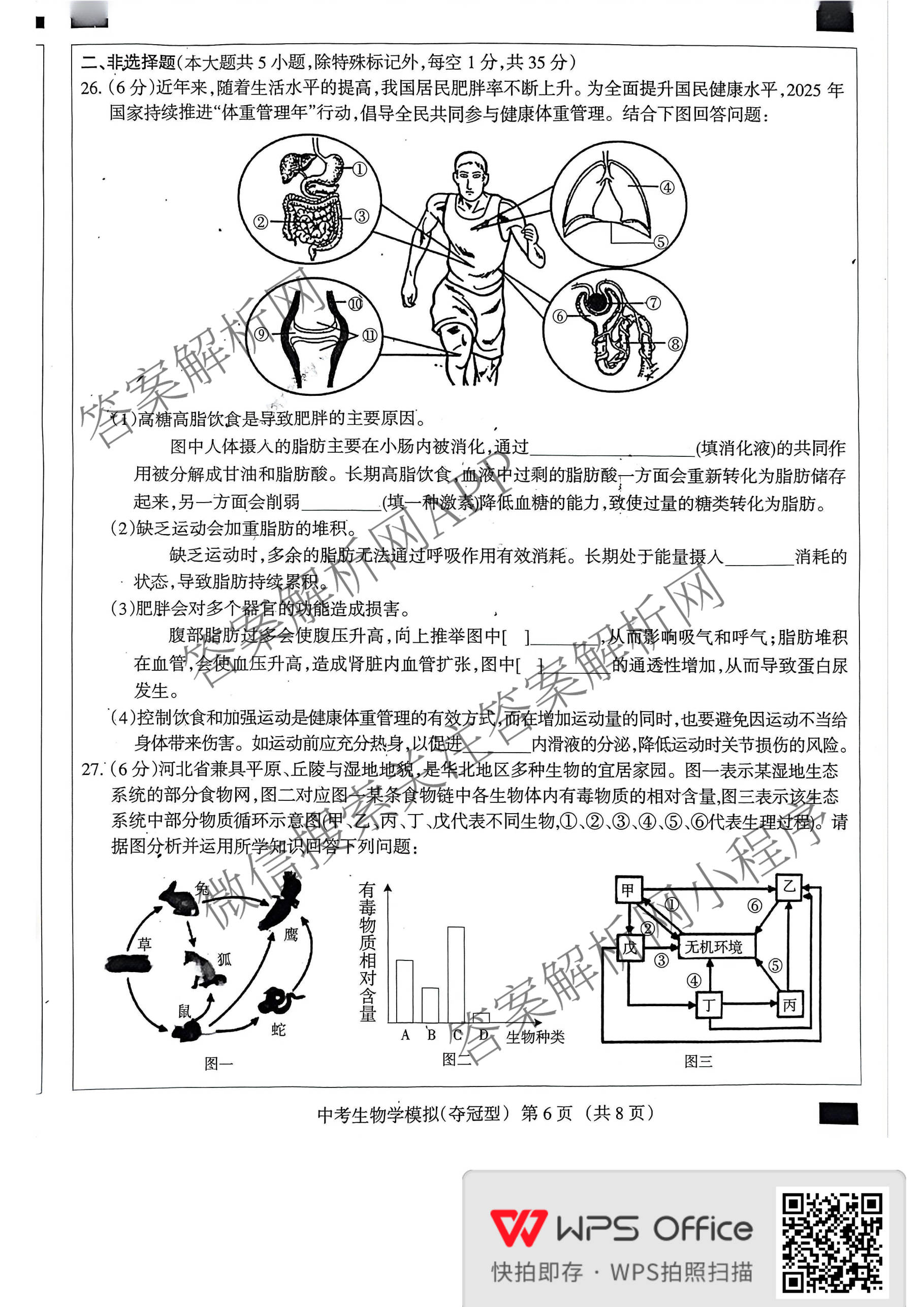 中考模拟系列河北省初中学业水模拟考试(八年级)(夺冠型)试卷及答案汇总（含语文、物理、生物等）生物试题