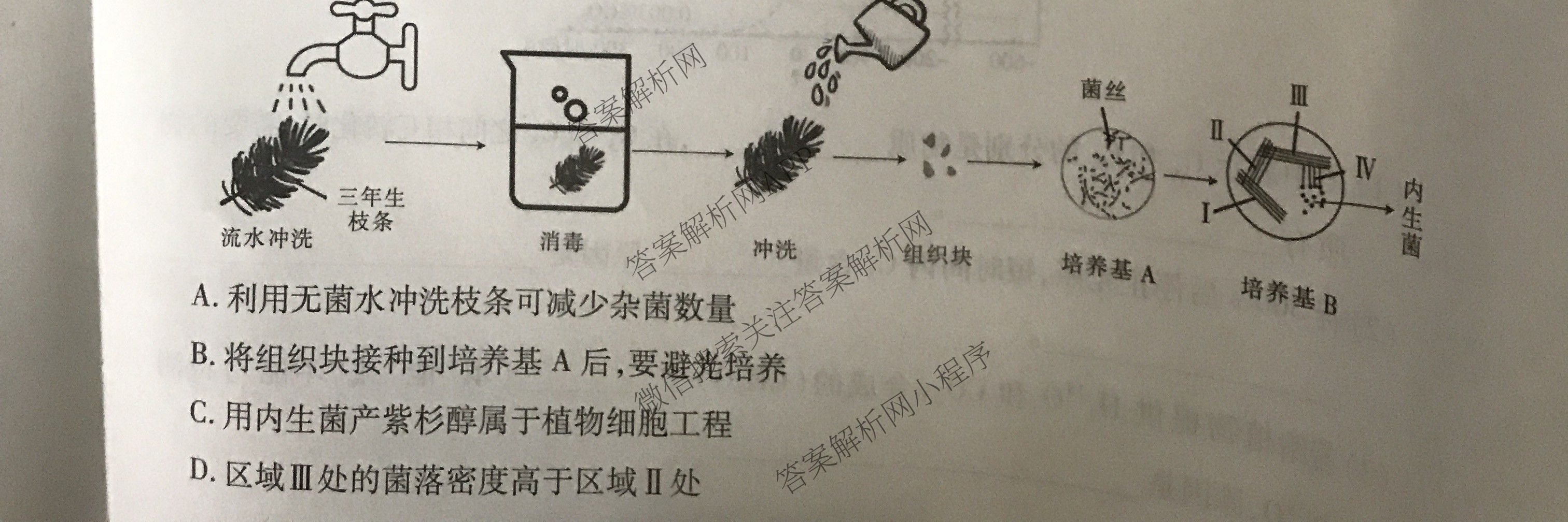 贵州天之王教育2025届贵州新高考高端精品冲刺卷(五)各科答案及试卷（含化学 地理 英语等）生物试题