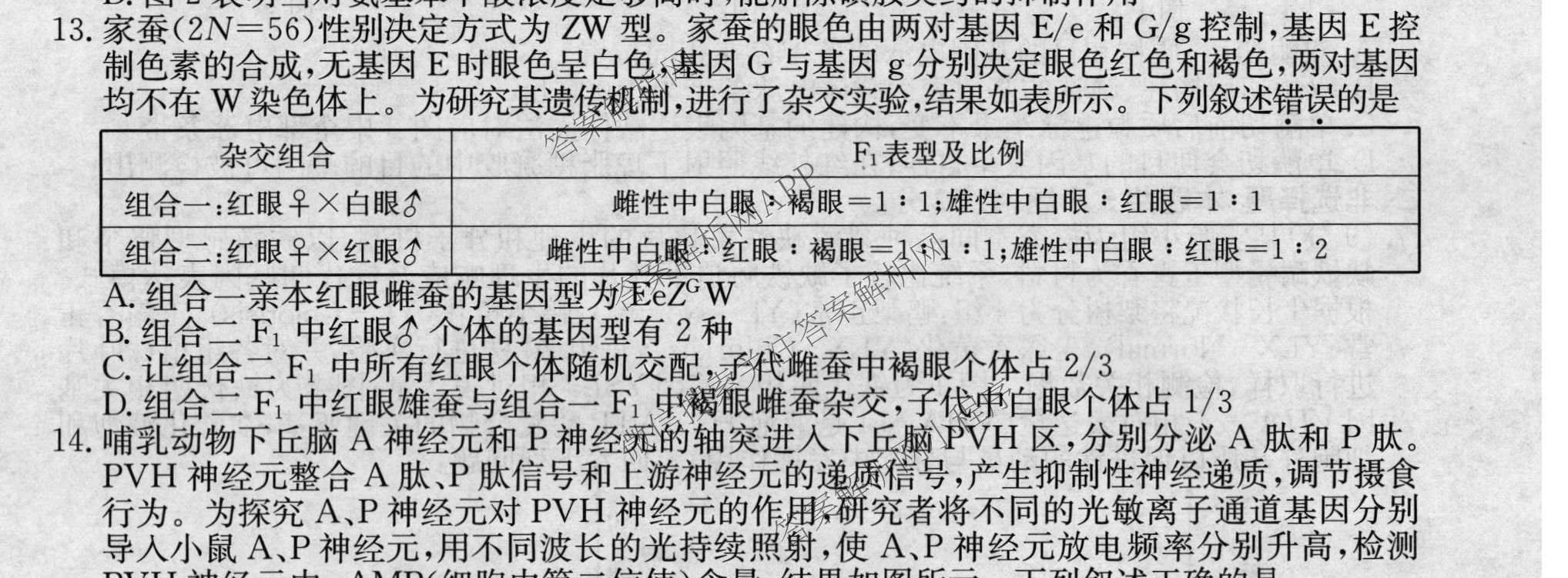 2026年全国高考冲刺压轴卷(六)6试卷及答案汇总（68科全）生物试题