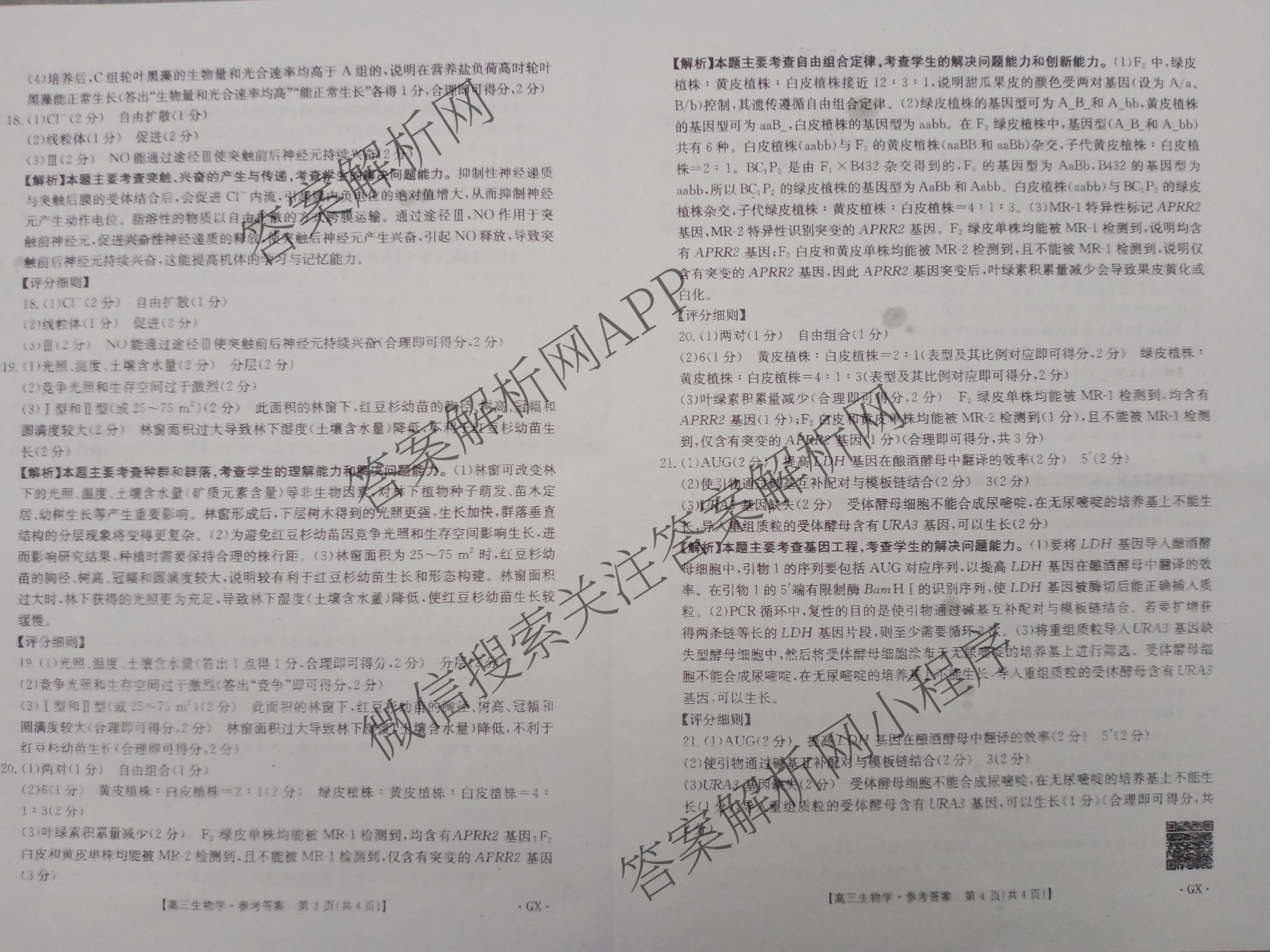 [百万联考]广西省2025届高三5月联考[GX](5.28)（含日语(25-R16)、物理、生物等）生物答案