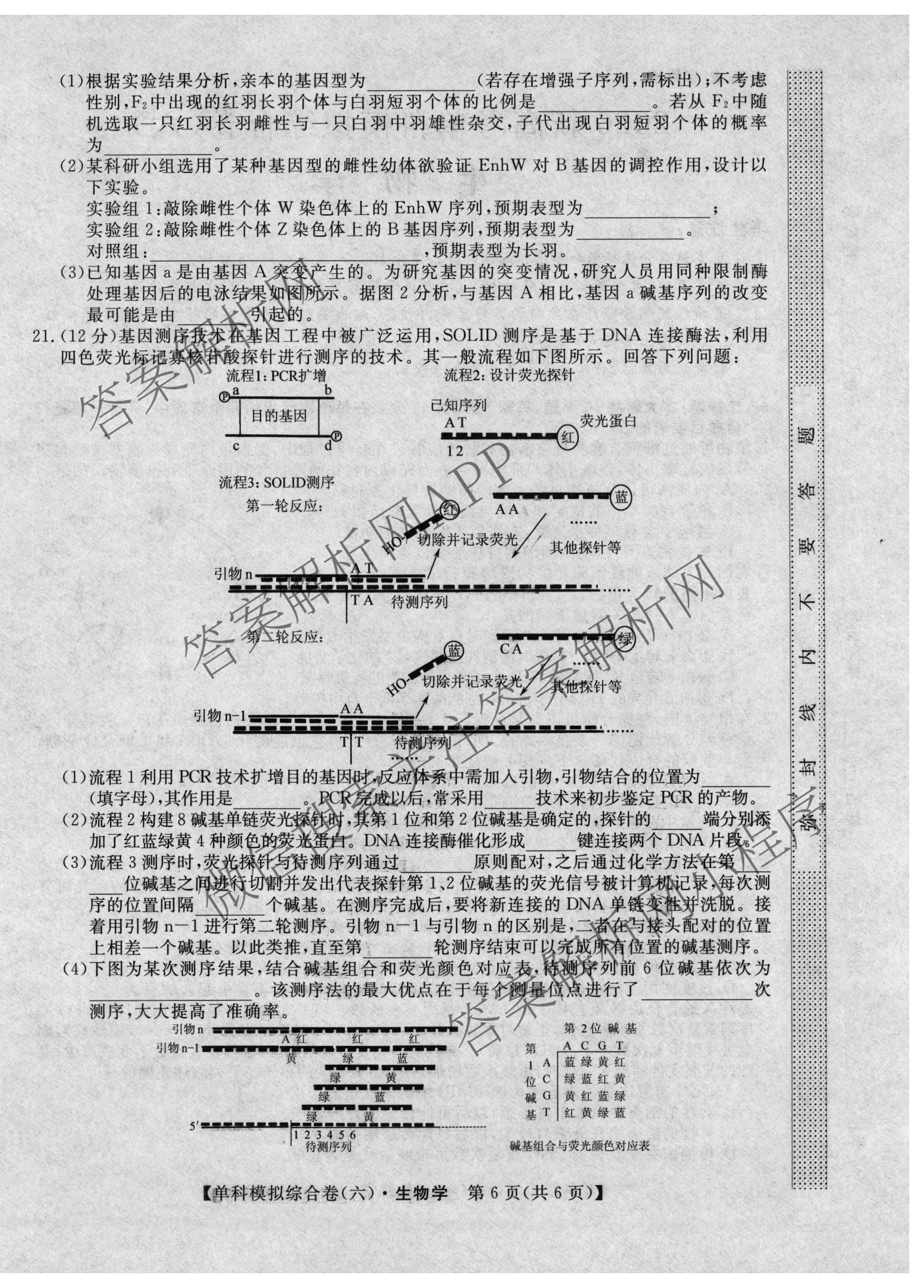 2026新高考单科模拟综合卷(六)6（18科全）生物试题