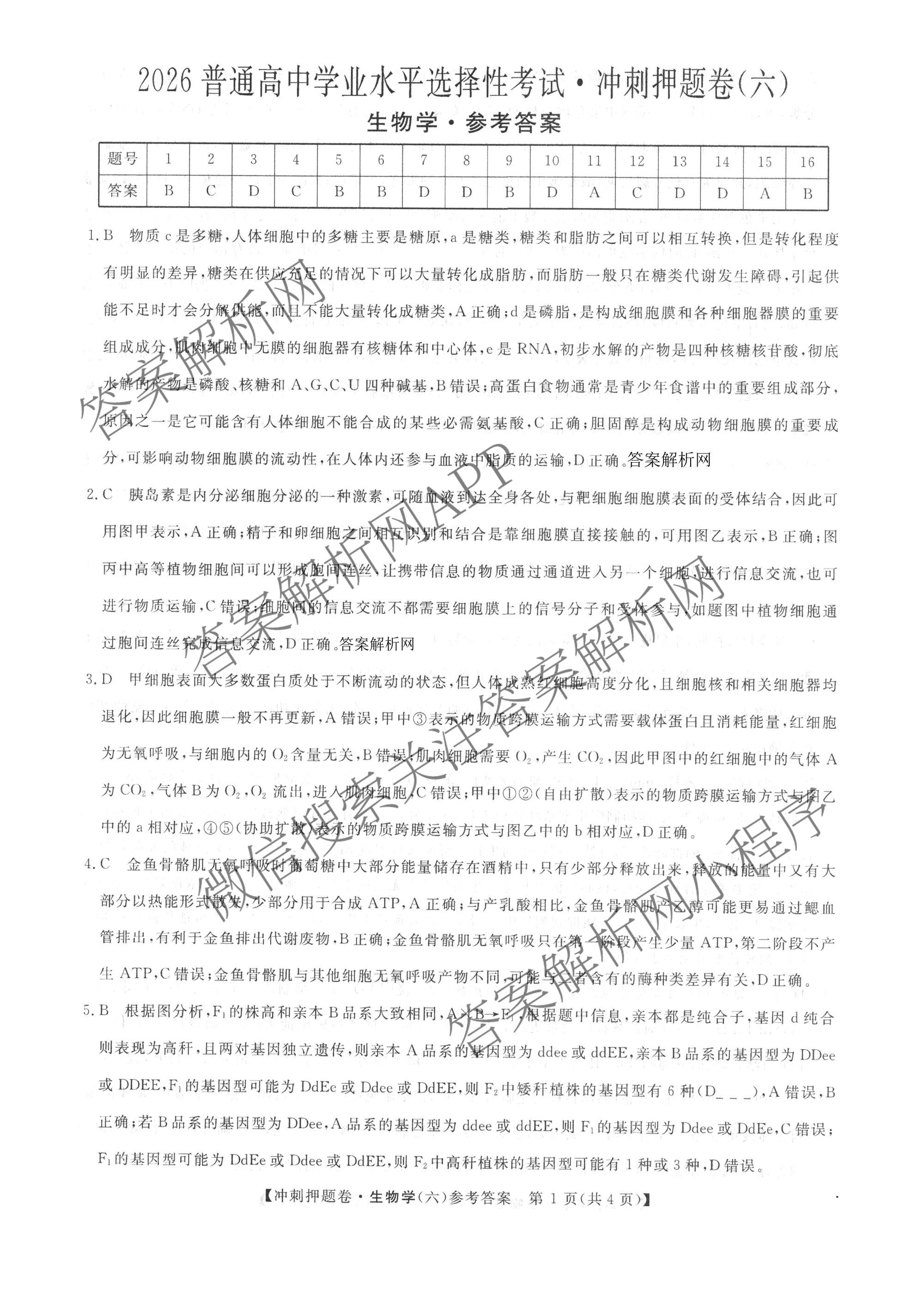2026普通高等学校招生全国统一考试冲刺押题卷(六)6各科答案及试卷（含数学(B)、语文、生物(AC)等）生物答案