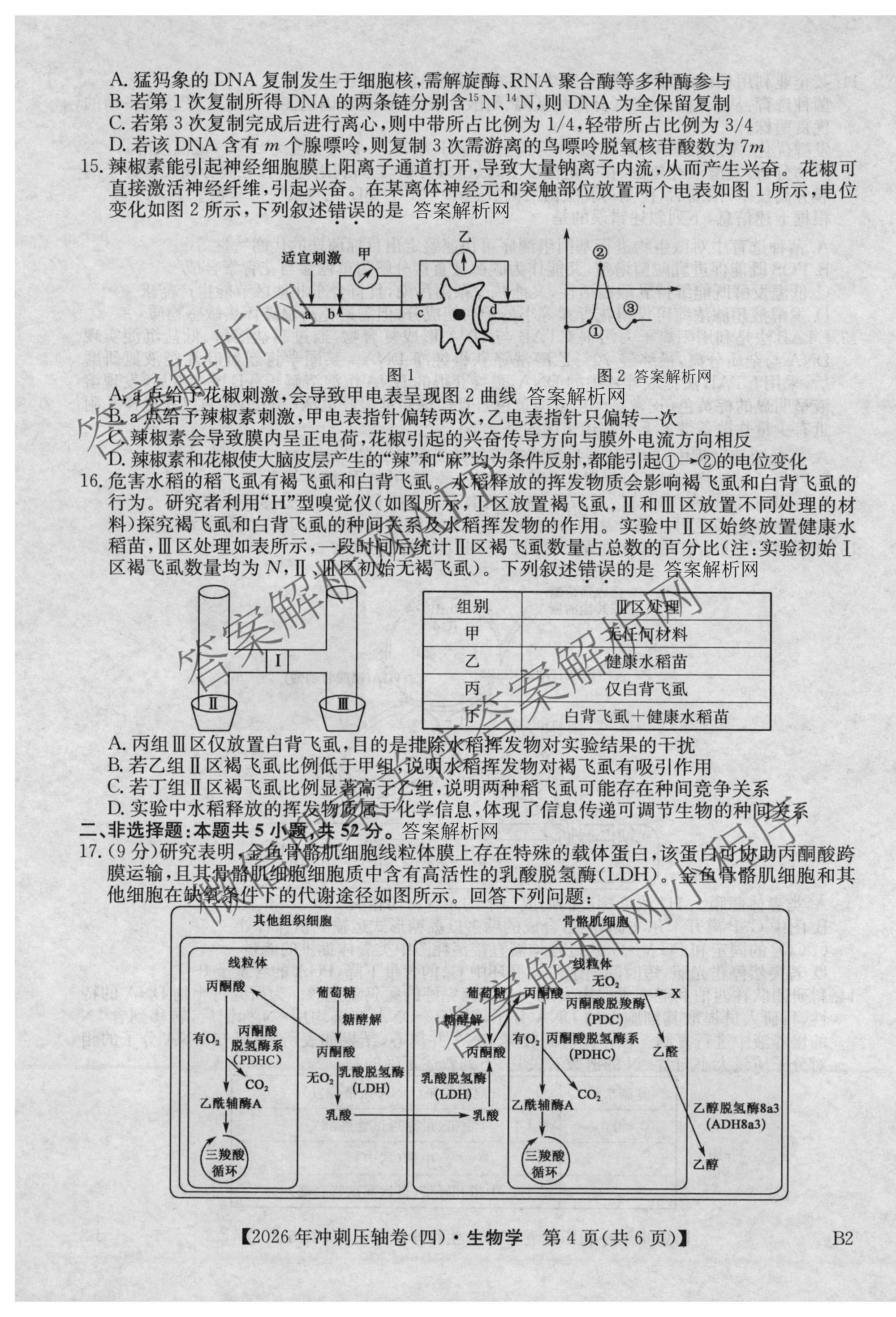 2026年全国高考冲刺压轴卷(四)4（67科全）生物试题