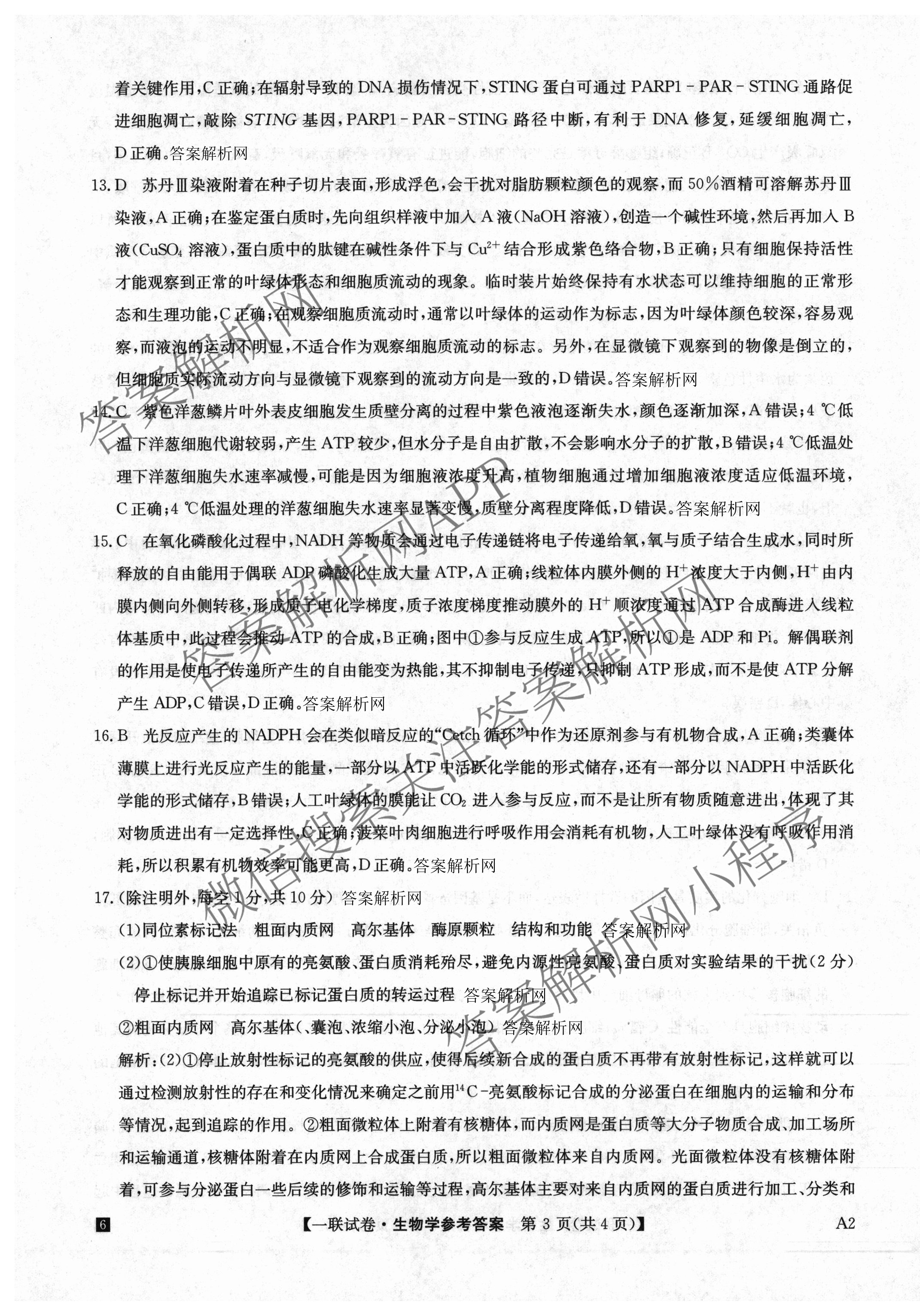 全国名校大联考2025~2026学年高三第一次联考(月考)试卷及答案汇总（含历史(河南)、化学(A2)、物理(A1)等）生物答案