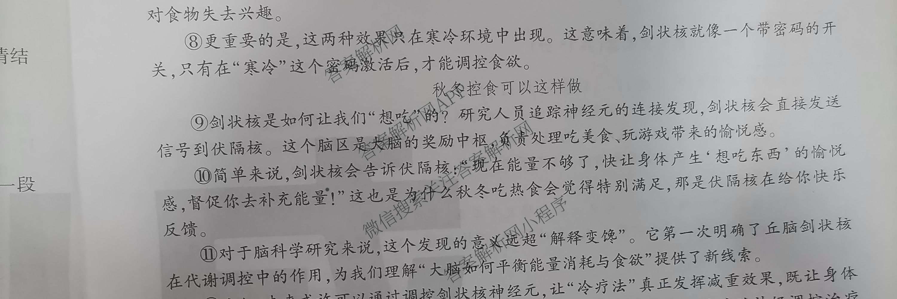 河南省南阳市西峡县2026年九年级阶段性评价(4月)（含数学 物理 英语等）语文试题