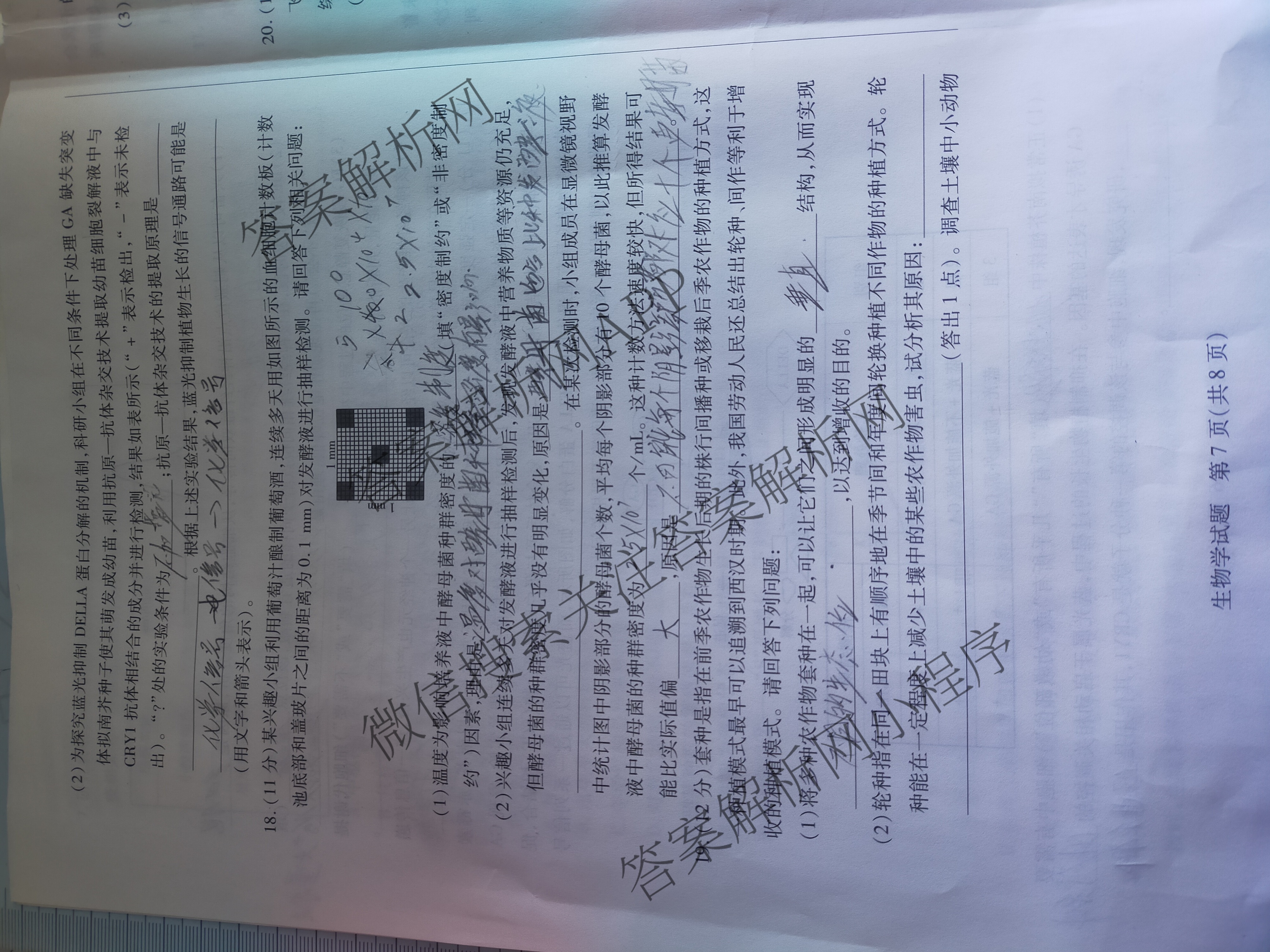 天一大联考2024-2025学年(下)安徽高二3月调研考试各科答案及试卷: 含数学、化学(池州专版)、生物试卷解析生物试题
