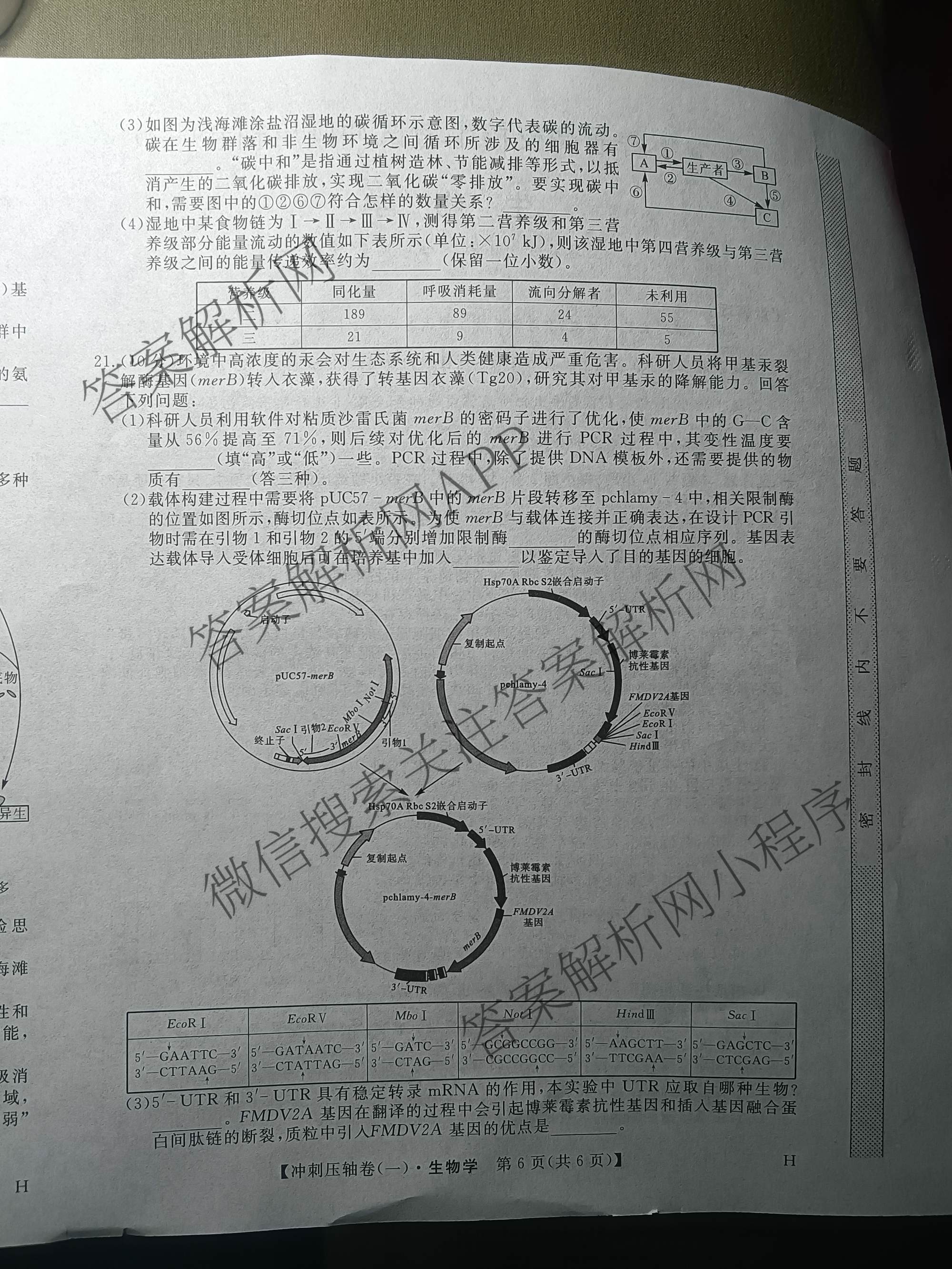 2025年普通高校招生考试冲刺压轴卷(一)1各科答案及试卷(已更新历史(K在括号外)、语文(X在括号外)、生物(A在括号外)等58份)生物试题