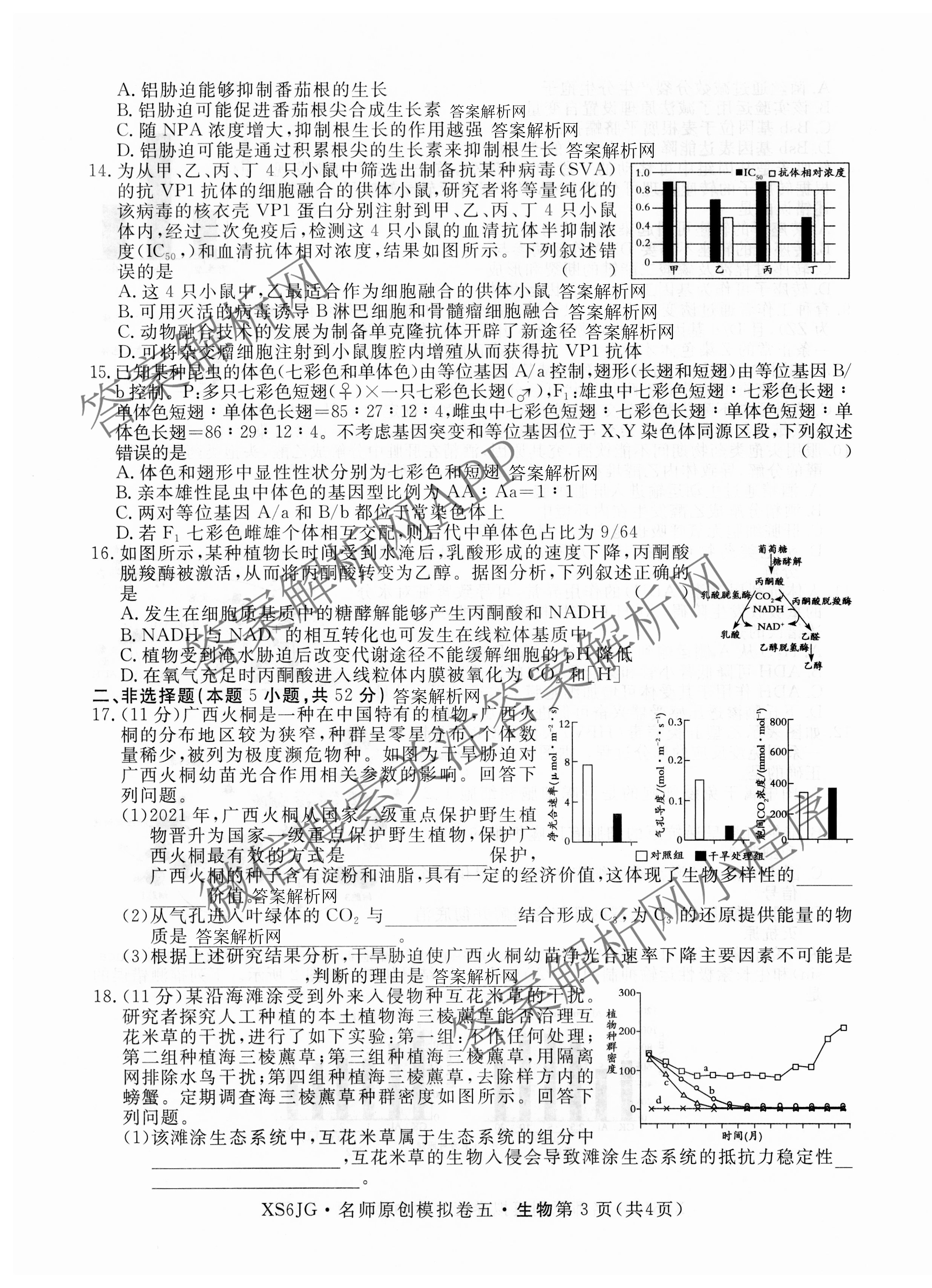 2026届高三总复习名师原创模拟(五)5(已更新地理(XS6J) 生物(XS6JG) 物理(XS6J)等39份)生物试题
