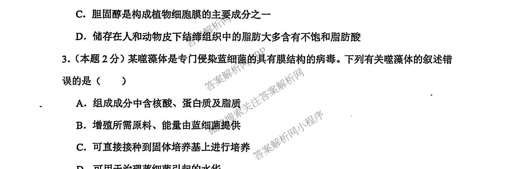 湖南省娄底四中2025年下期高一第一次月考（含历史 数学 英语等）生物试题