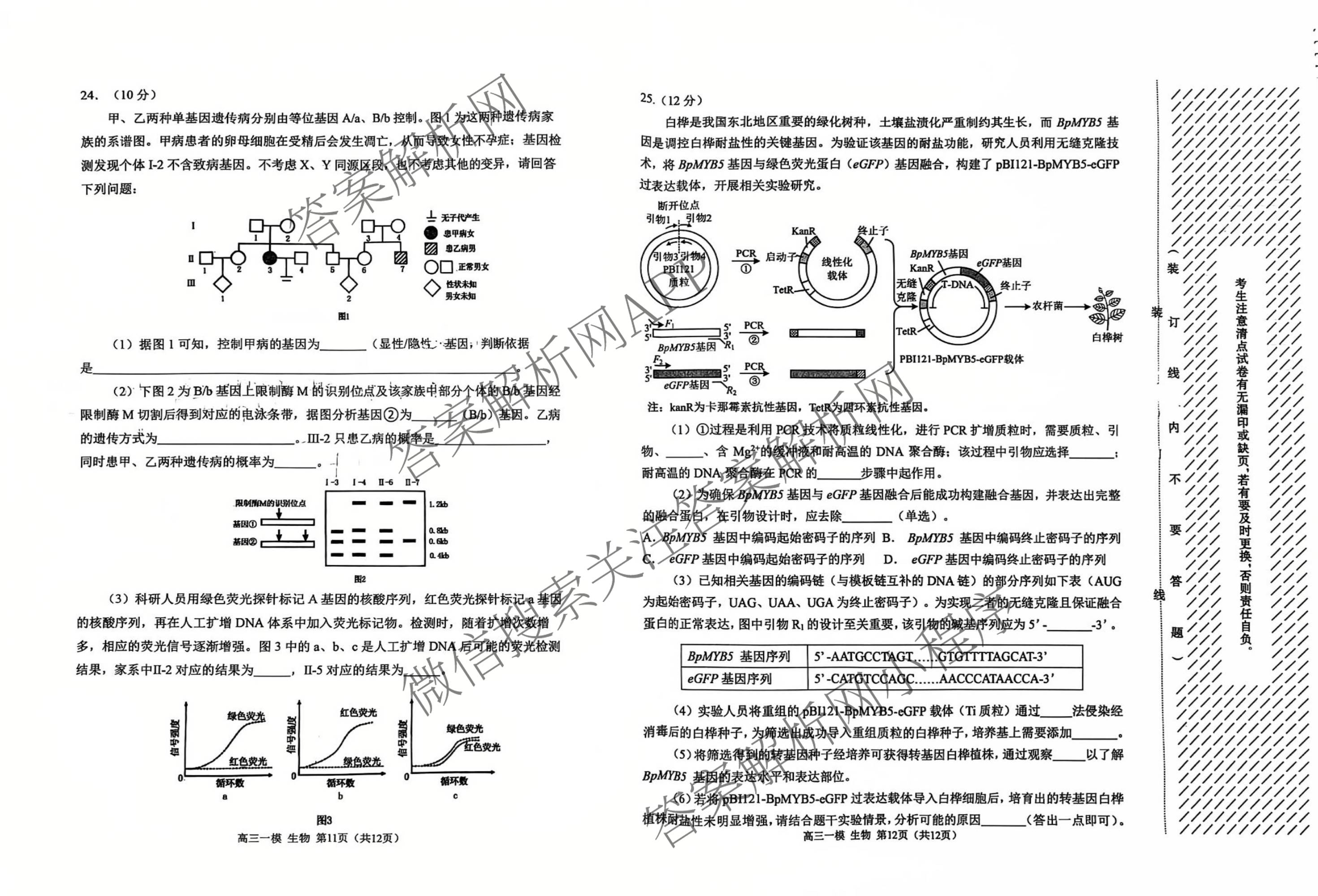 黑龙江省哈三中2026年高三学年第一次模拟考试 （含数学、化学、语文等9份）生物试题