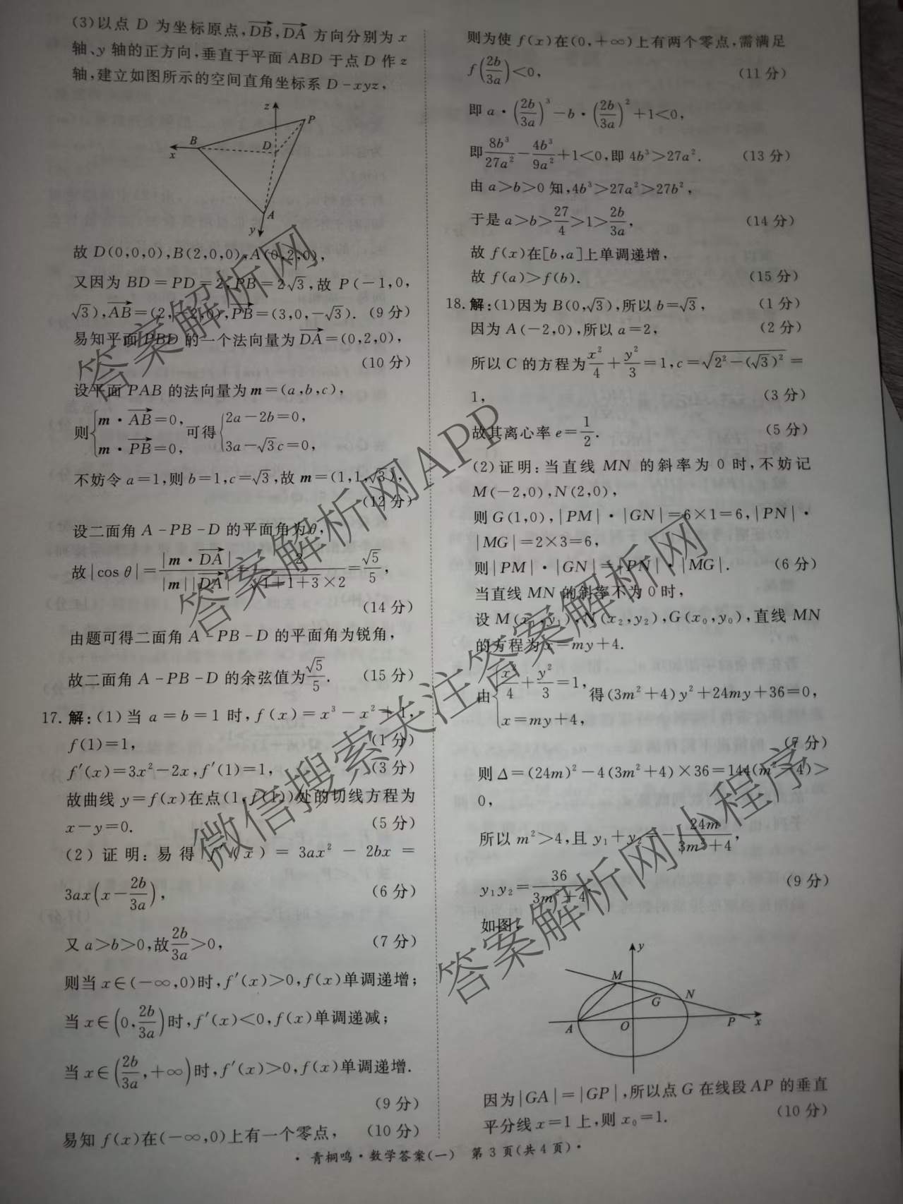 青桐鸣2025届普通高等学校招生全国统一考试高考冲刺联考卷(一)1各科答案及试卷（含地理、数学、生物等）数学答案