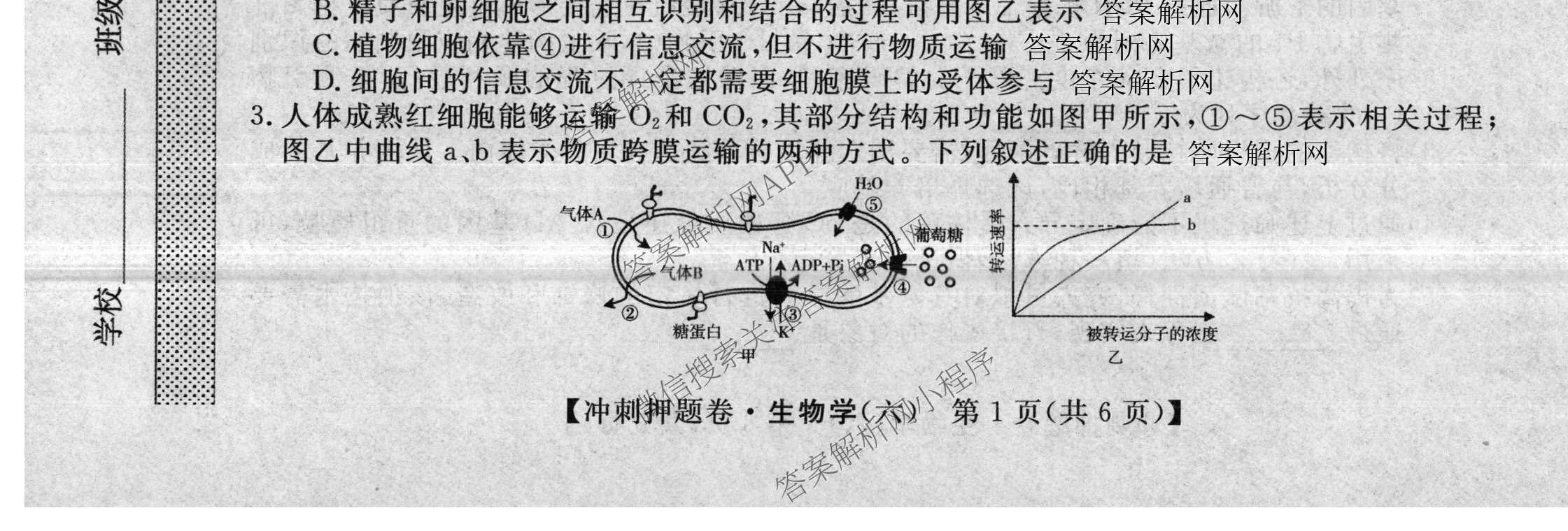 2026普通高等学校招生全国统一考试冲刺押题卷(六)6各科答案及试卷（含数学(A)、语文、生物(HBJ)等）生物试题