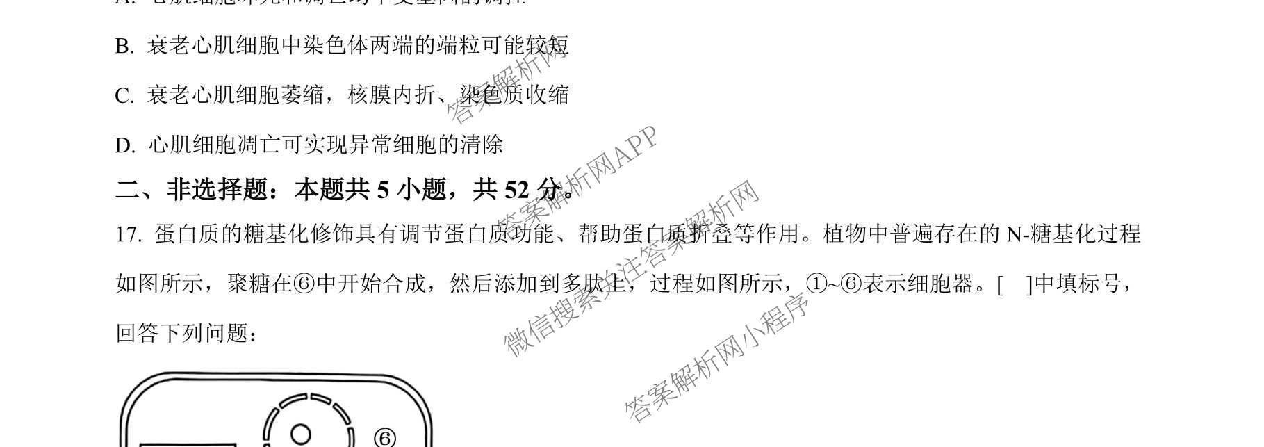 河南省2025-2026学年高一年级3月测评（含化学、政治、英语等）生物试题