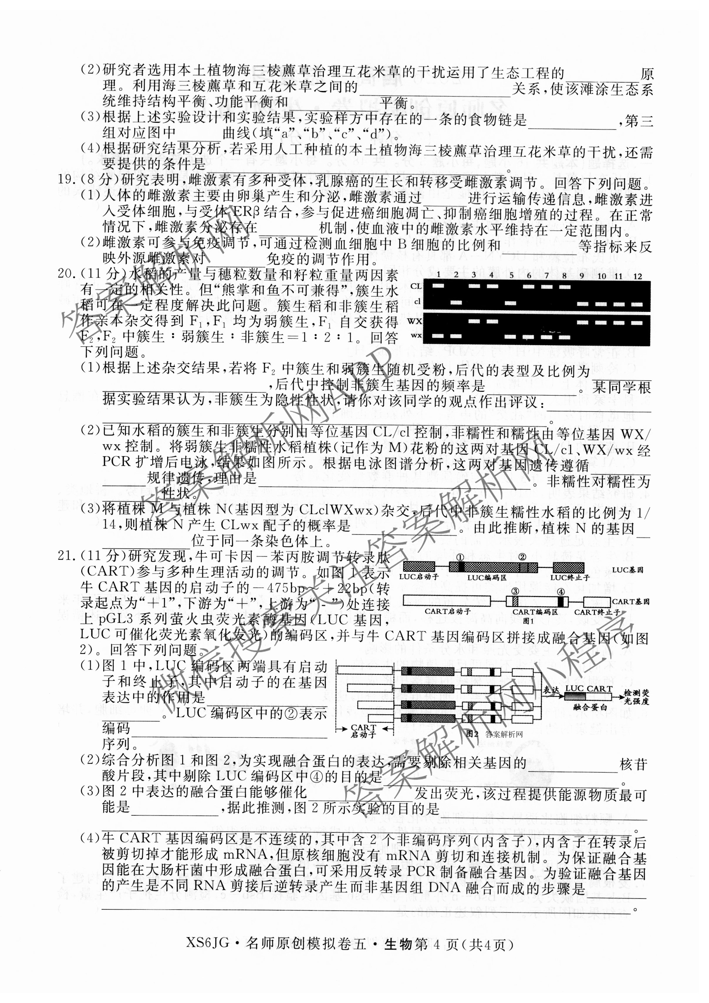 2026届高三总复习名师原创模拟(五)5(已更新地理(XS6J) 生物(XS6JG) 物理(XS6J)等39份)生物试题