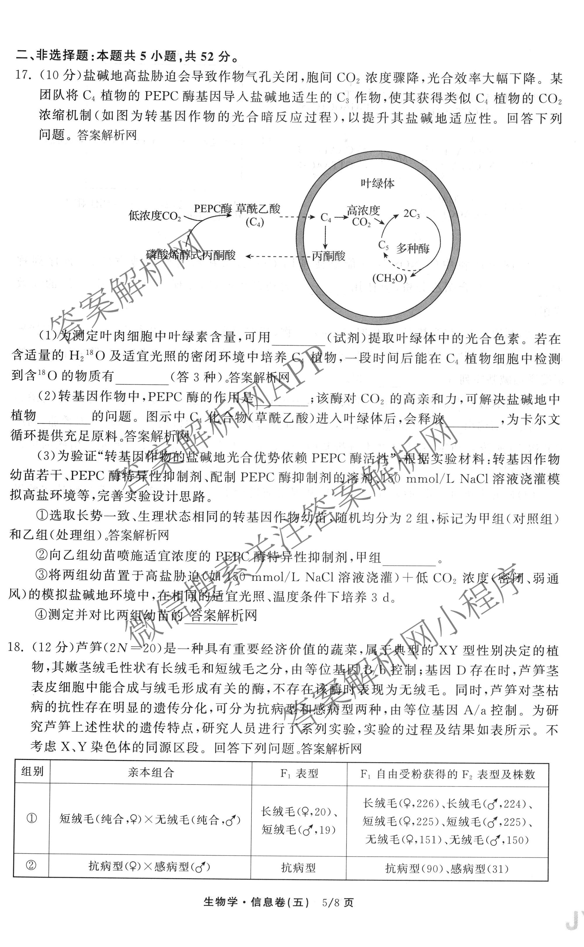 天舟高考衡中同卷2026年普通高等学校招生全国统一考试模拟信息卷(五)5试卷及答案汇总（含化学(WG)、化学(WY)、物理(山东版)等）生物试题