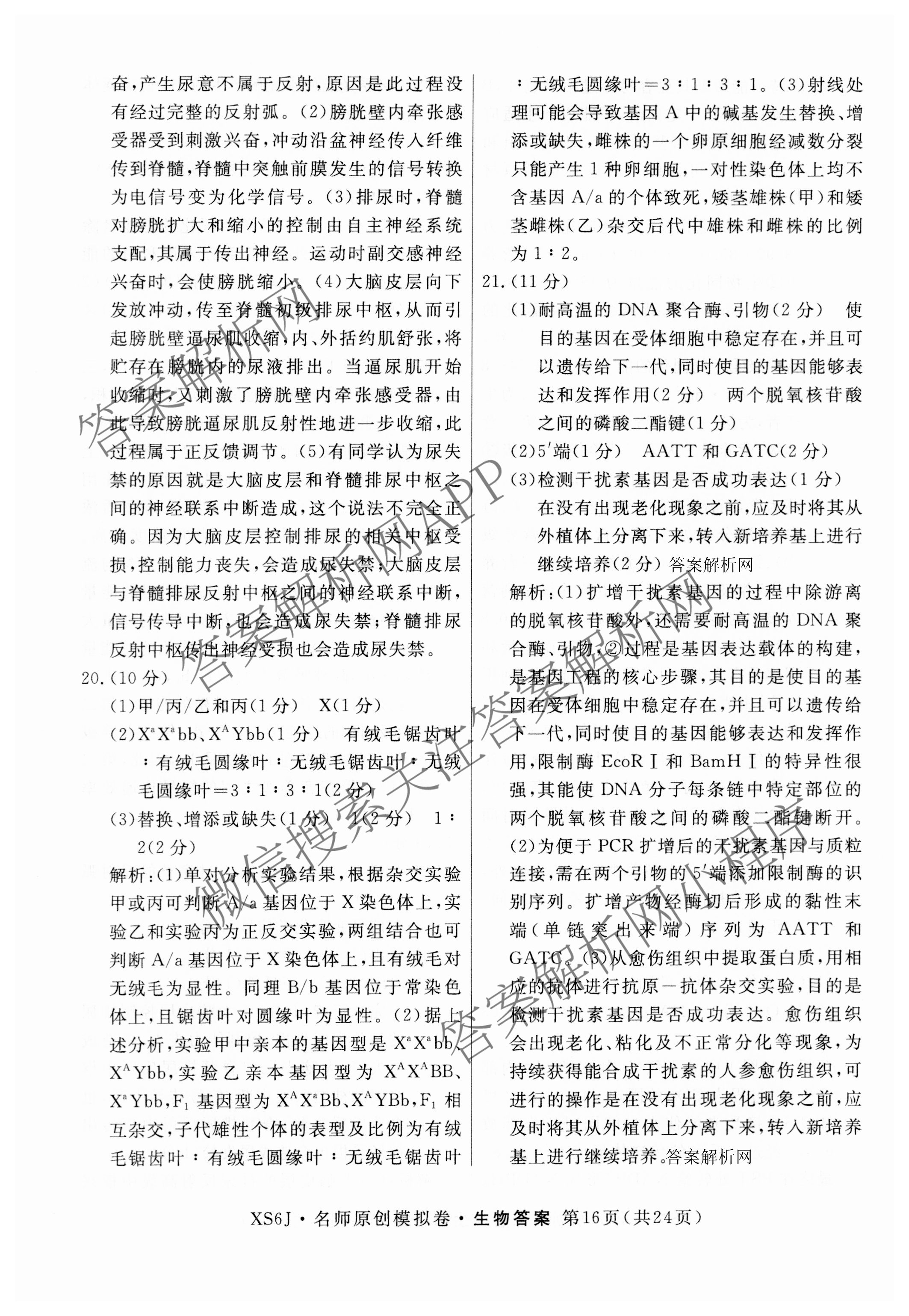 2026届高三总复习名师原创模拟(四)4试卷及答案汇总: 含政治(新S6J) 历史(新S6J) 语文(XS6J)试卷解析生物答案