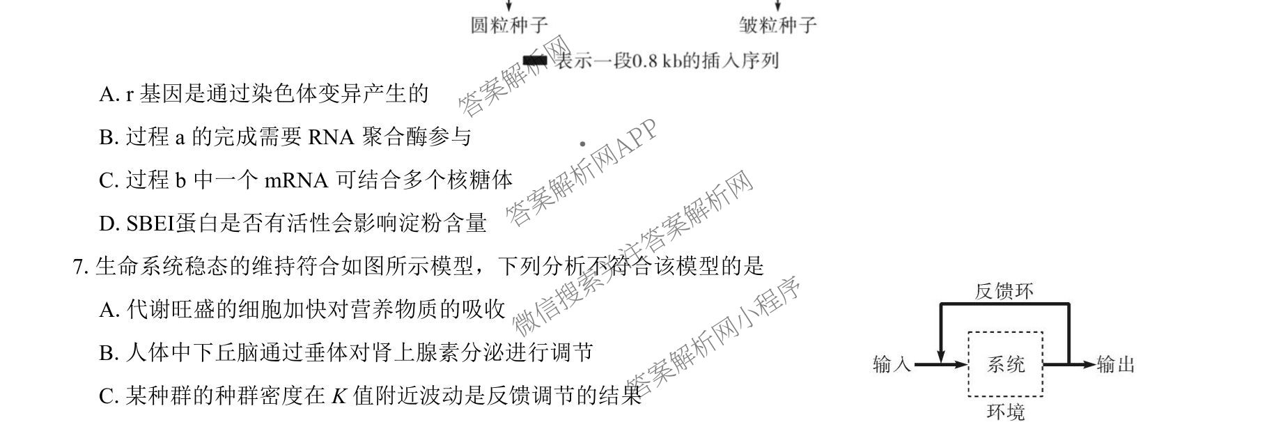 名校教研联盟2026届高考仿真模拟卷(样卷)试卷及答案汇总(含英语 物理(A) 地理(A)等)生物试题 名校教研联盟2026届高考仿真模拟卷(样卷)试卷及答案汇总(含英语 物理(A) 地理(A)等)生物试题
