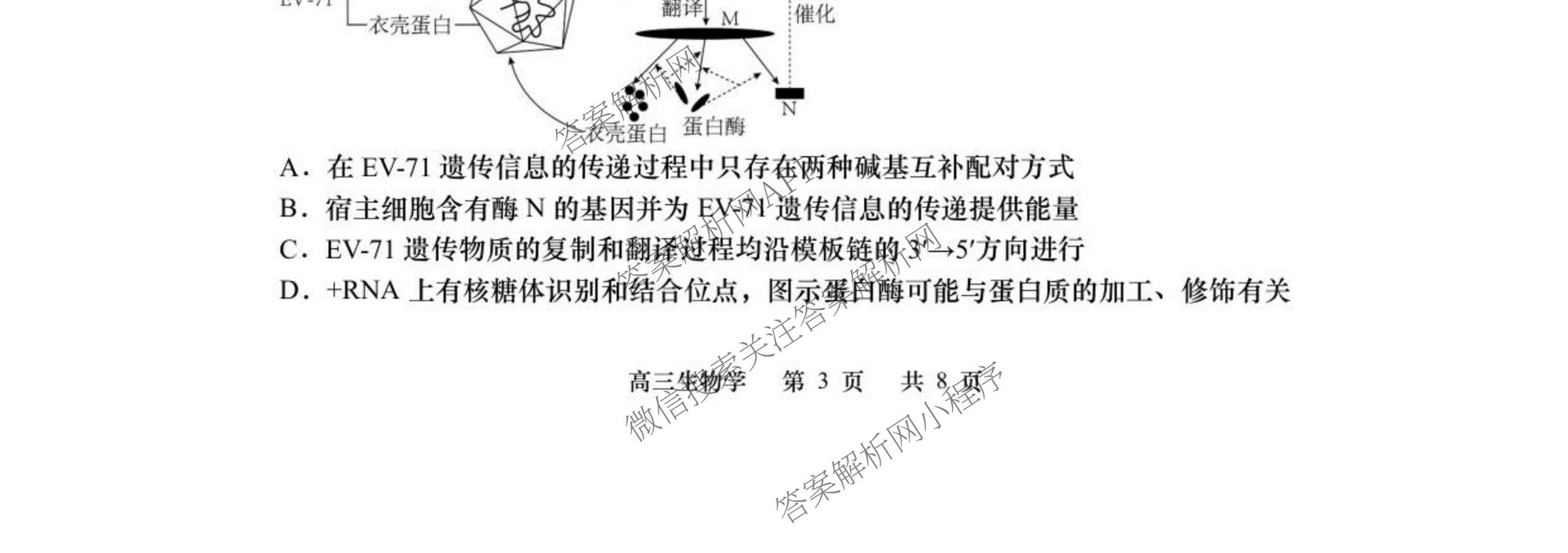 江苏省如皋市2025-2026学年度高三年级第一学期教学质量调研(一)试卷及答案汇总(9科全)生物试题 江苏省如皋市2025-2026学年度高三年级第一学期教学质量调研(一)试卷及答案汇总(9科全)生物试题