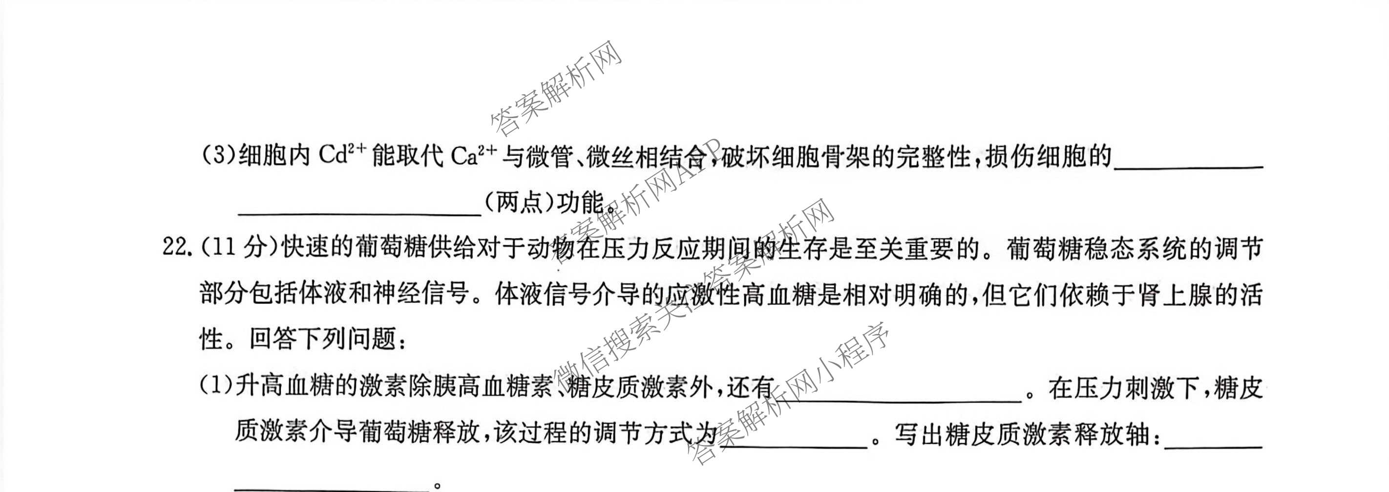 九师联盟2025~2026学年高三核心模拟卷(中)(四)试卷及答案汇总（含物理(A)、物理(HF)、生物(D1)等36份）生物试题