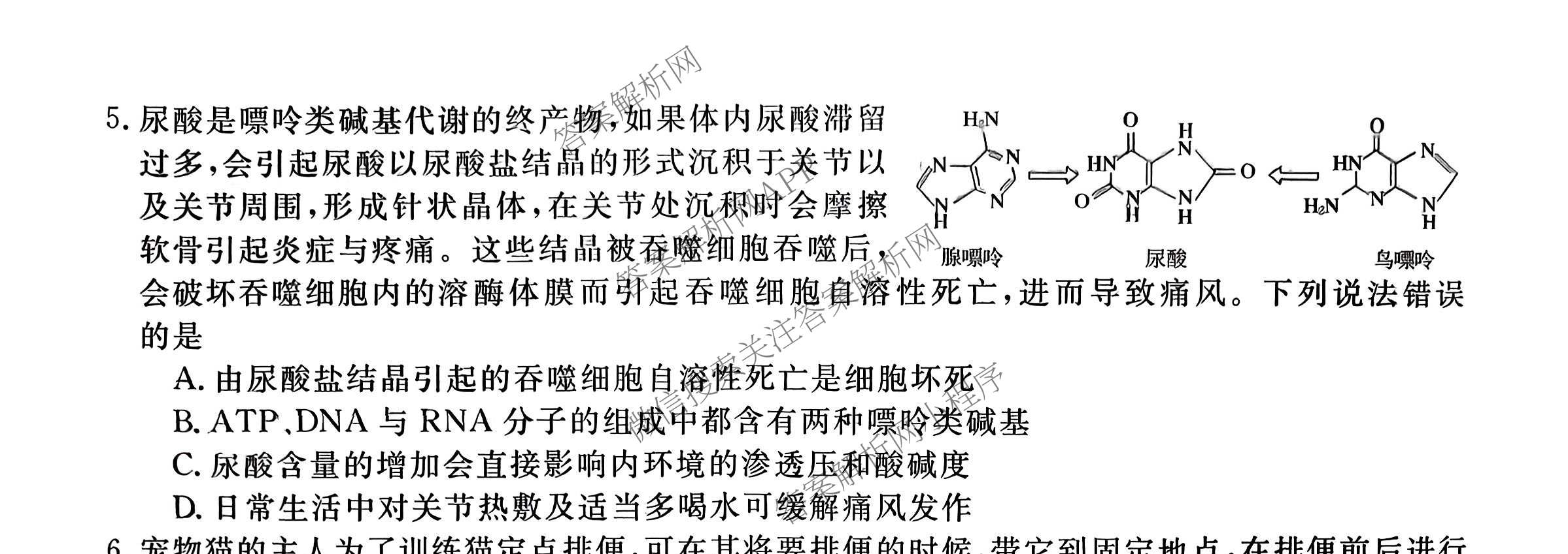 2026普通高等学校招生全国统一考试综合模拟卷(三)3试卷及答案汇总（含历史(B)、化学(B)、英语(X)等）生物试题