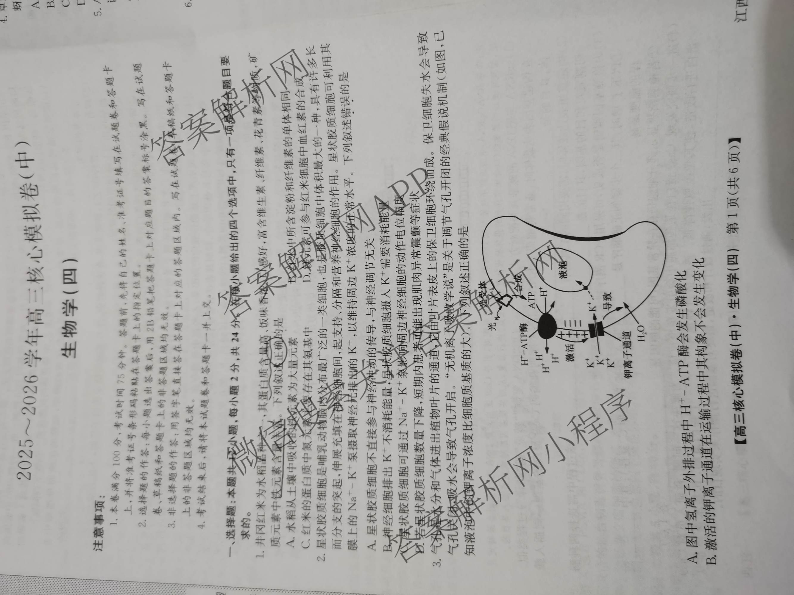 九师联盟2025~2026学年高三核心模拟卷(中)(四)试卷及答案汇总（含物理(A)、物理(HF)、生物(D1)等36份）生物试题