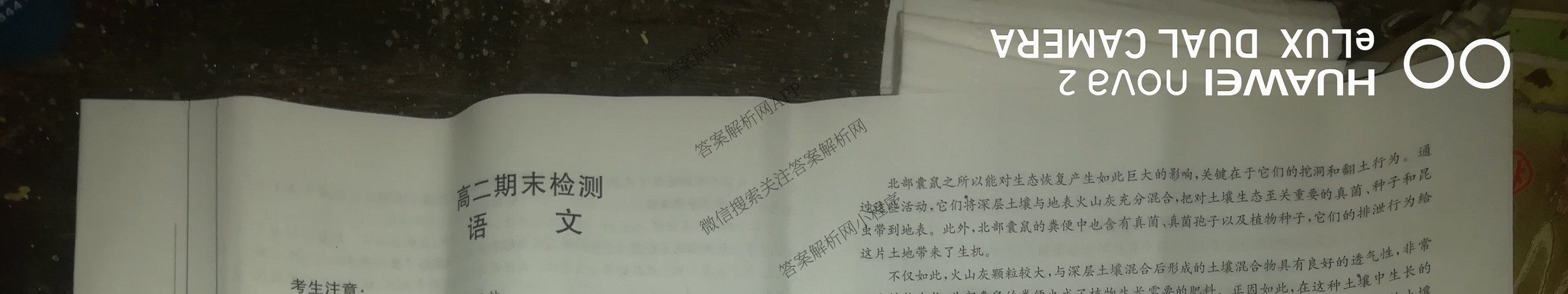 甘肃2024-2025高二期末检测(7.14)（含地理、数学、政治等9份）语文试题