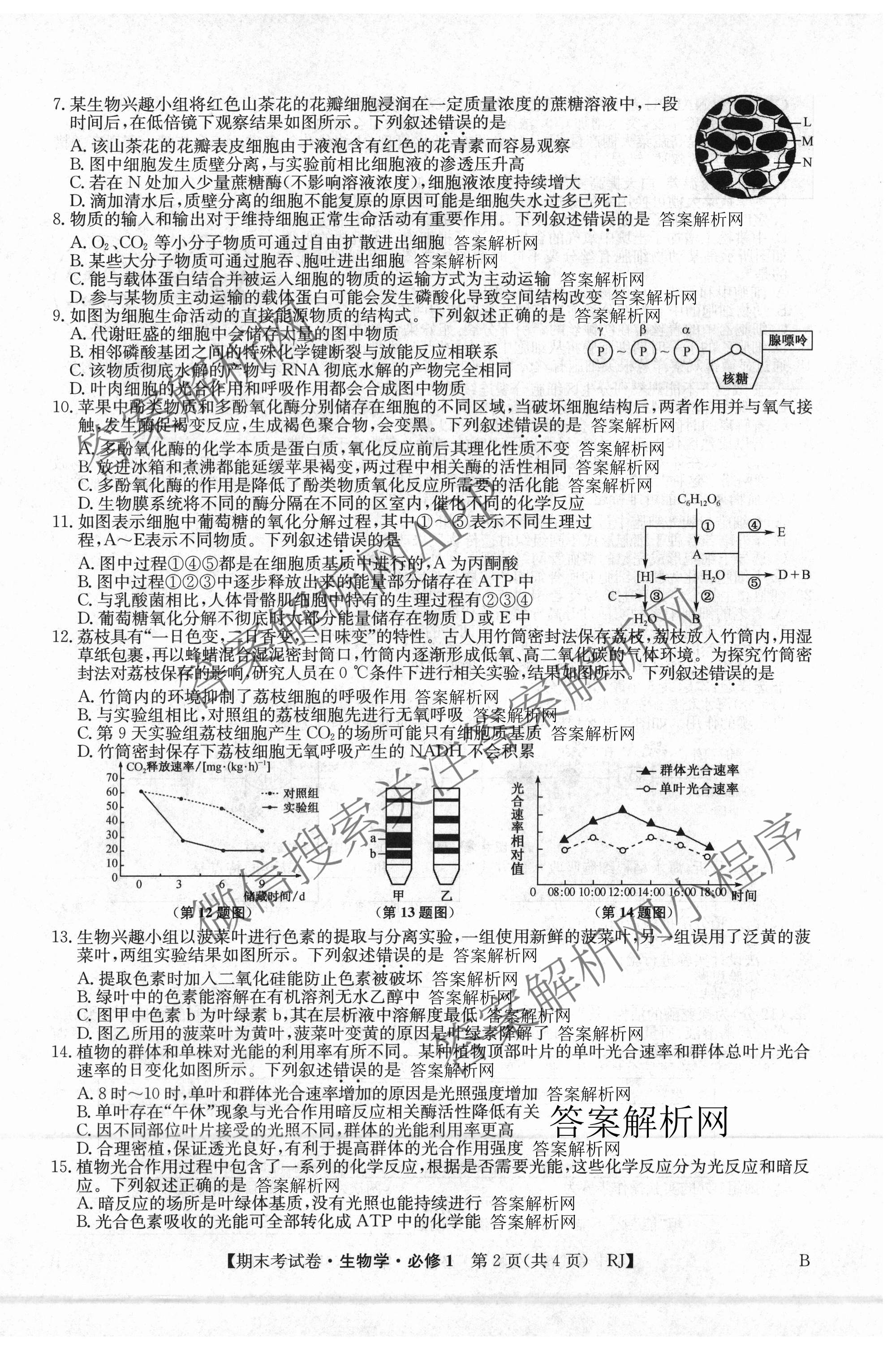 2025~2026学年度高一期末考试卷(上学期): 含历史(必修 中外历史纲要(上)) 化学(必修第一册 RJ) 数学(必修第一册 RJ)试卷解析生物试题