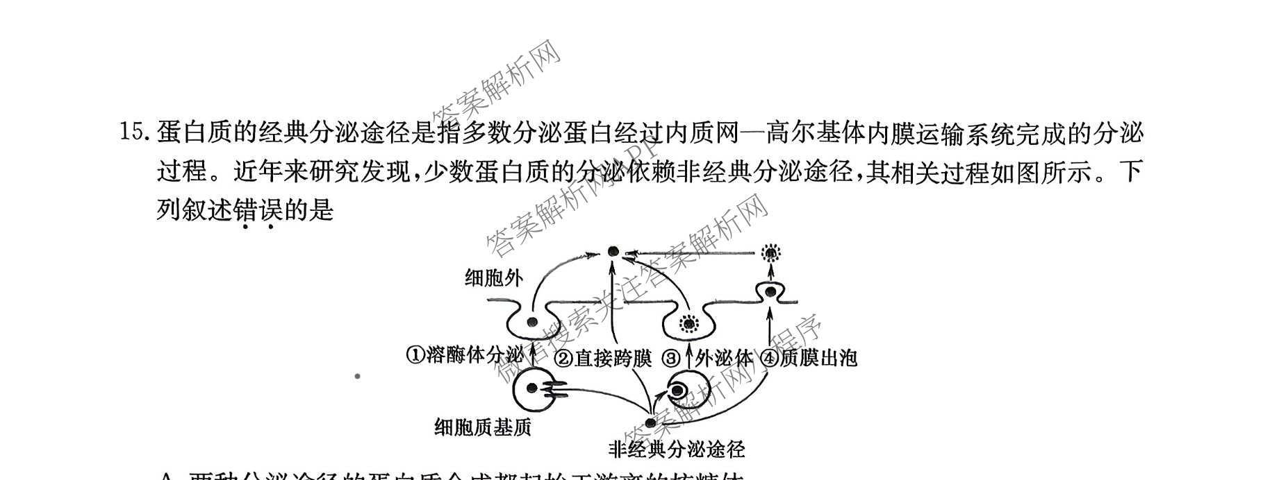 三晋卓越联盟2025~2026学年高一11月期中提升考(26-X-128A)（17科全）生物试题