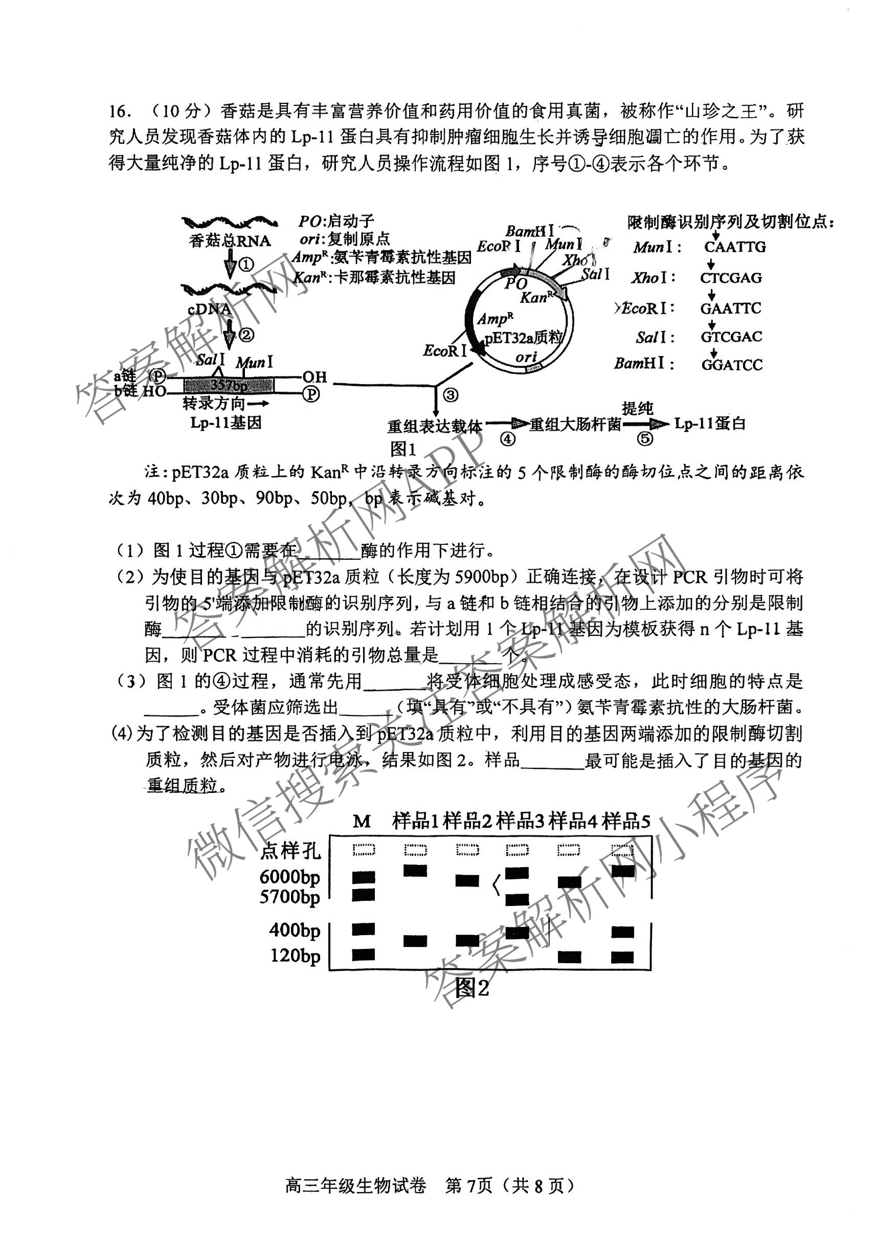 天津市和区2025-2026学年度第二学期高三年级第一次质量调查各科答案及试卷（含语文、化学、英语等）生物试题
