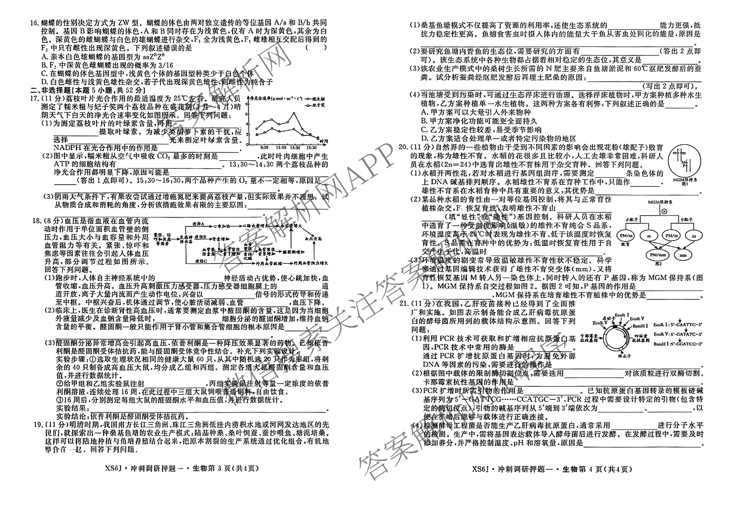 2026届冲刺调研押题实战演练(一)1各科答案及试卷（含历史(新S6J) 化学(新S6J) 地理(XS6J)等）生物试题