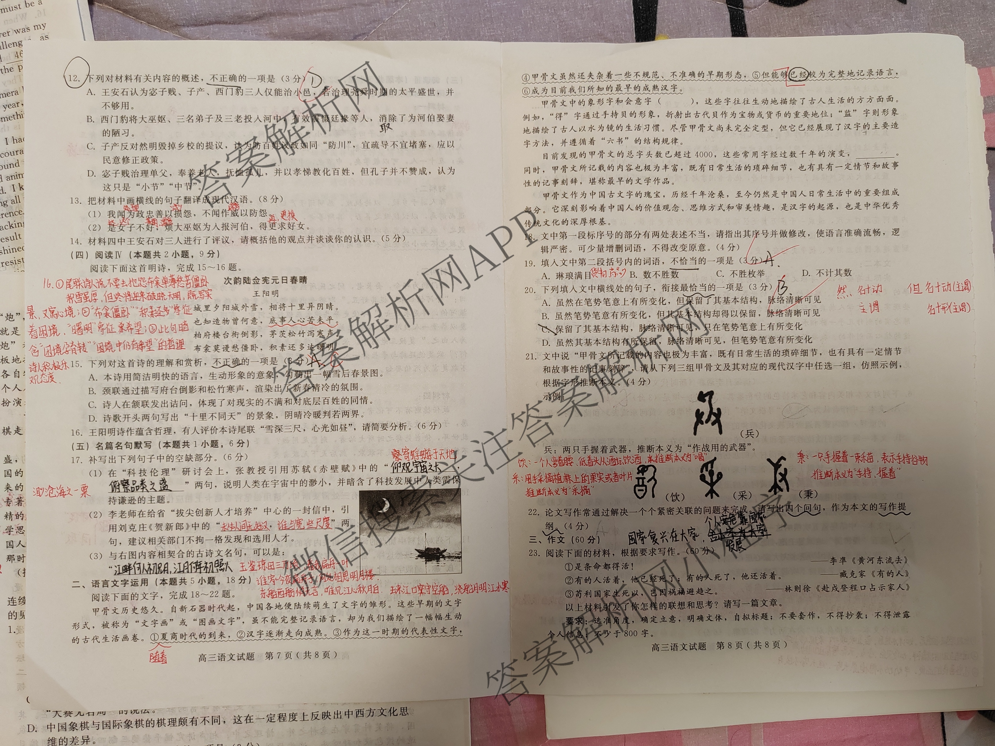 河北省2025年高三年级摸底考试(10月)试卷及答案汇总（含历史 生物 语文等）语文试题