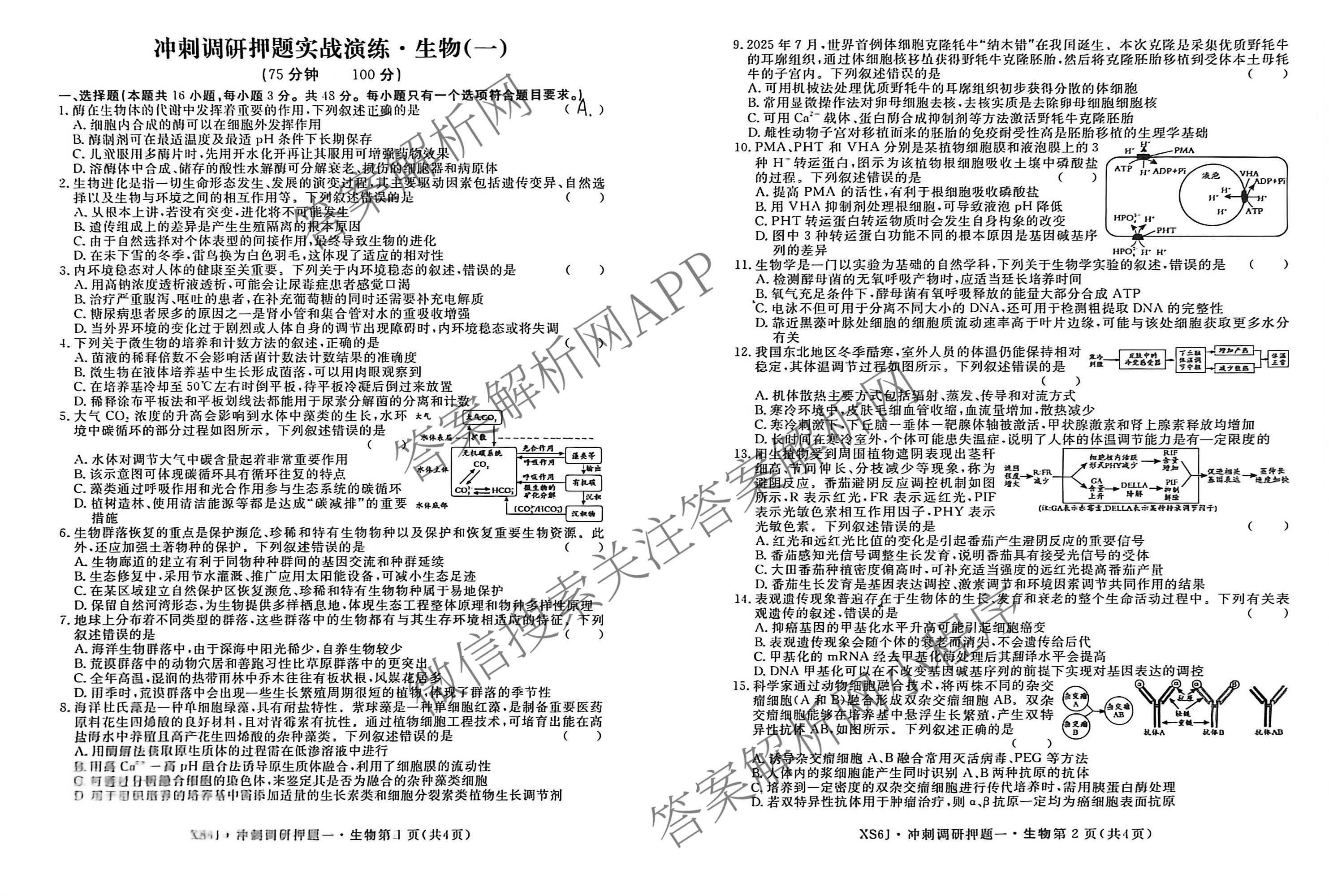 2026届冲刺调研押题实战演练(一)1各科答案及试卷（含历史(新S6J) 化学(新S6J) 地理(XS6J)等）生物试题