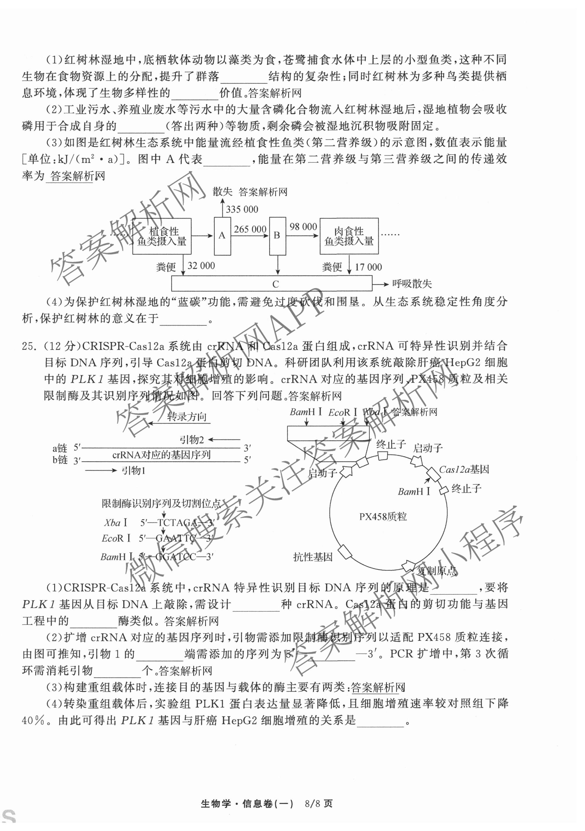 天舟高考衡中同卷2026年普通高等学校招生全国统一考试模拟信息卷(一)1各科答案及试卷（含历史(WS)、政治(XB)、物理(安徽版)等）生物试题