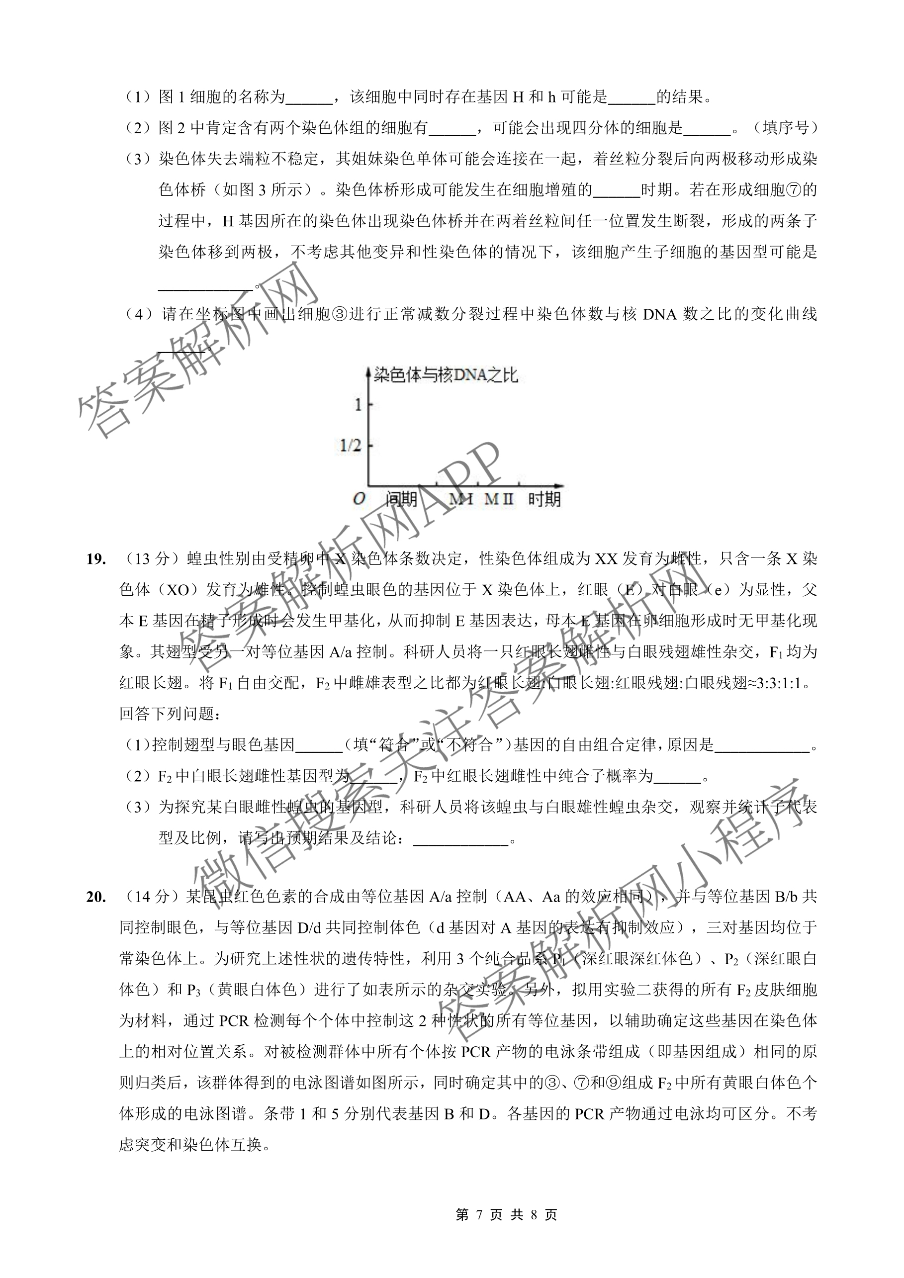 重庆外国语学校2026届高三(上)10月月考(四)各科答案及试卷(已更新数学 历史 物理等9份)生物试题 重庆外国语学校2026届高三(上)10月月考(四)各科答案及试卷(已更新数学 历史 物理等9份)生物试题